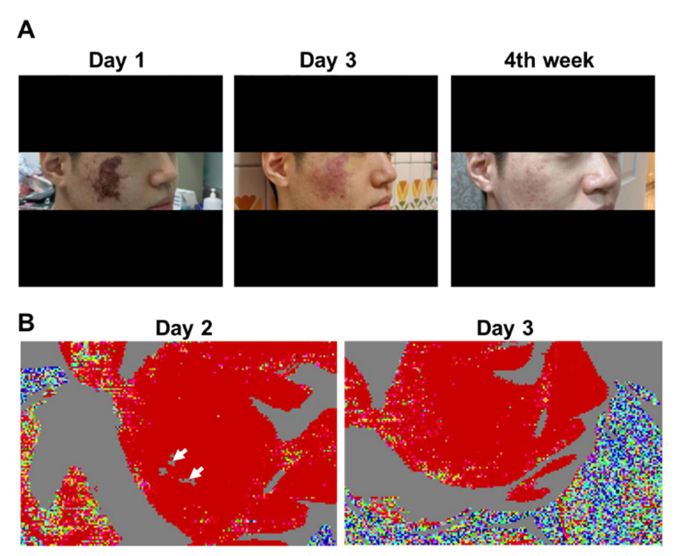 Diagnostics 11 01640 g003