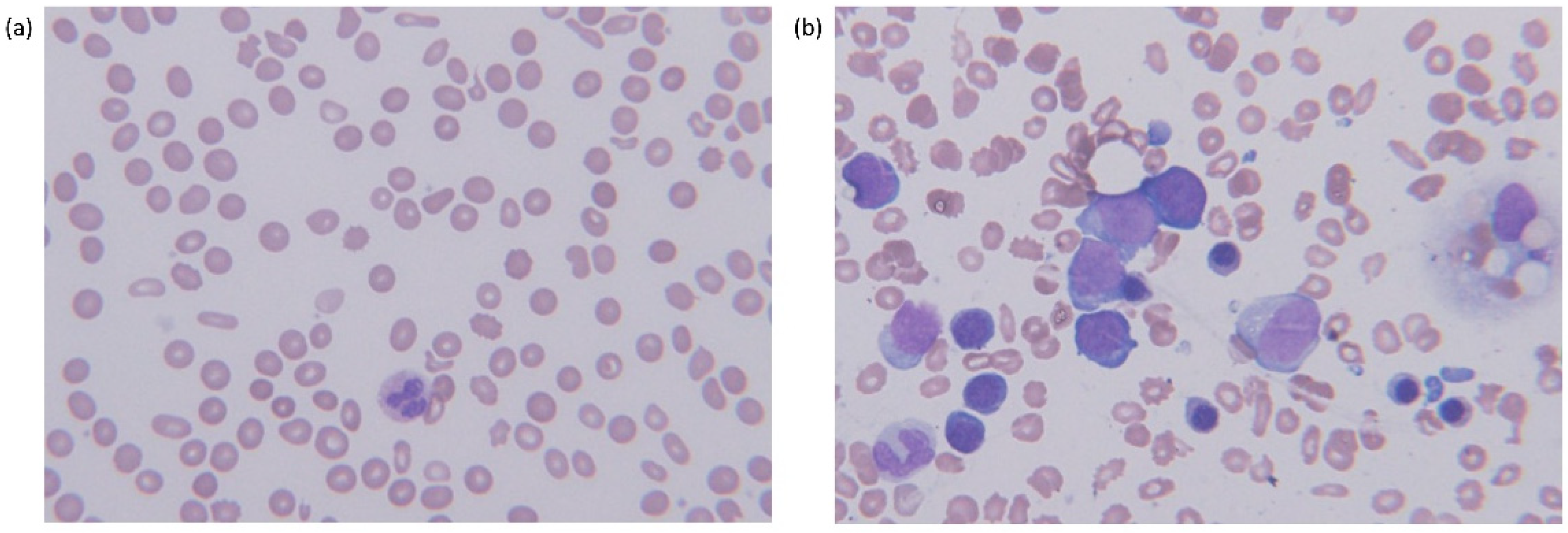 Diagnostics 11 01644 g001 Diagnostics 11 01644 g001