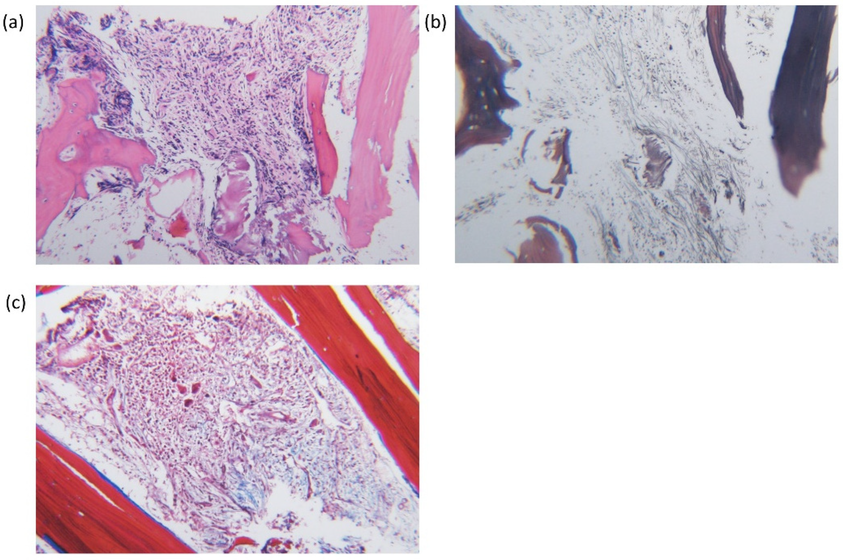 Diagnostics 11 01644 g002 Diagnostics 11 01644 g002