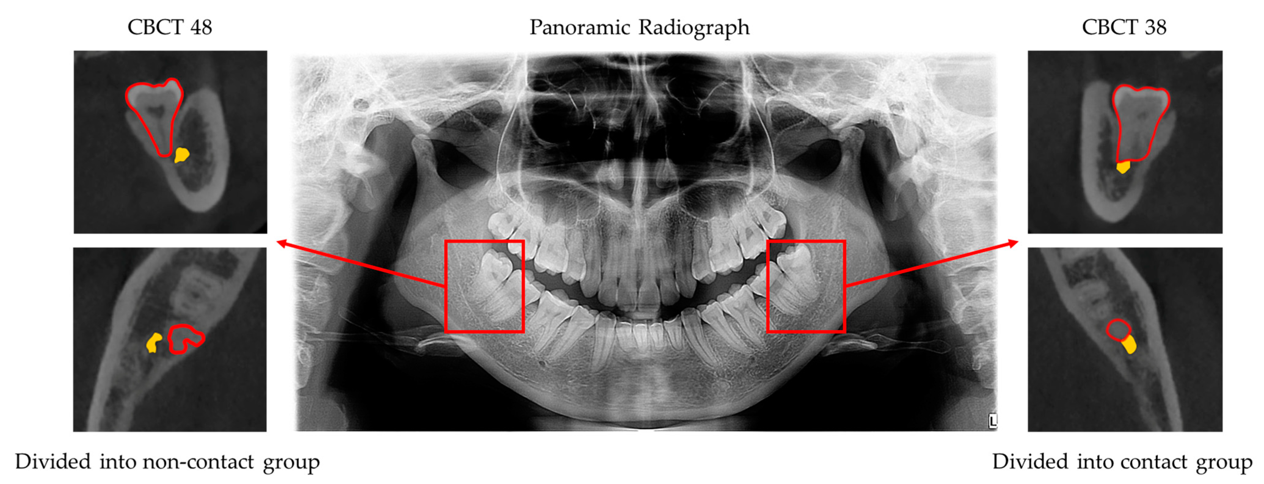 Diagnostics 11 01664 g001