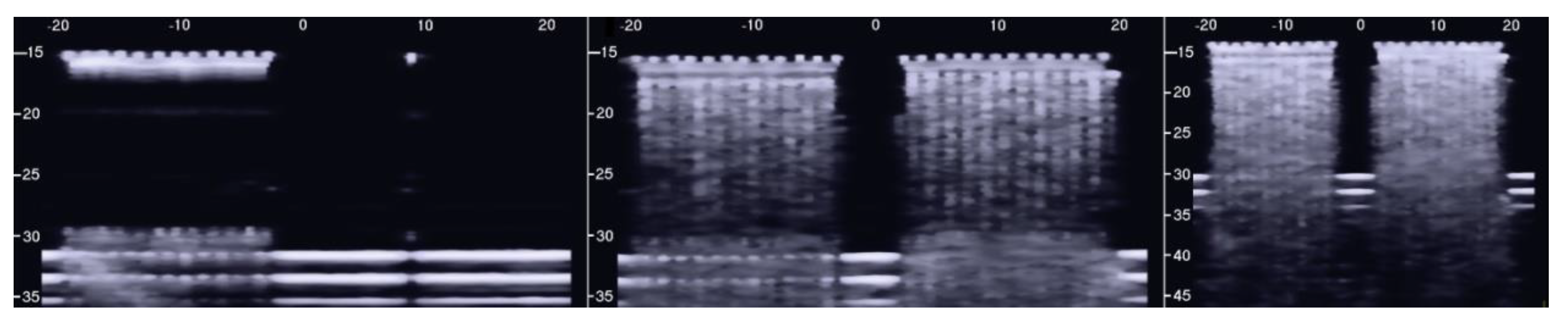 Diagnostics 11 01666 g006