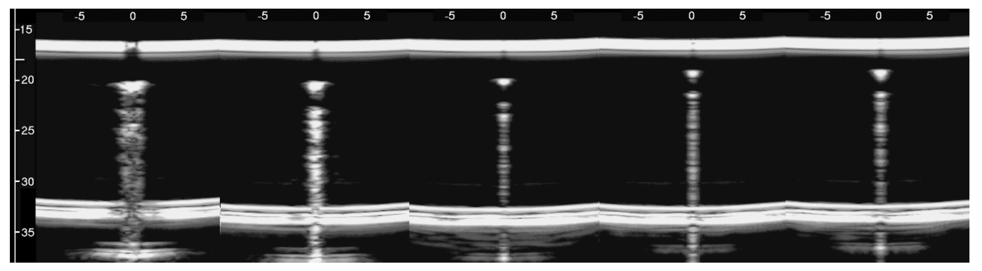 Diagnostics 11 01666 g008