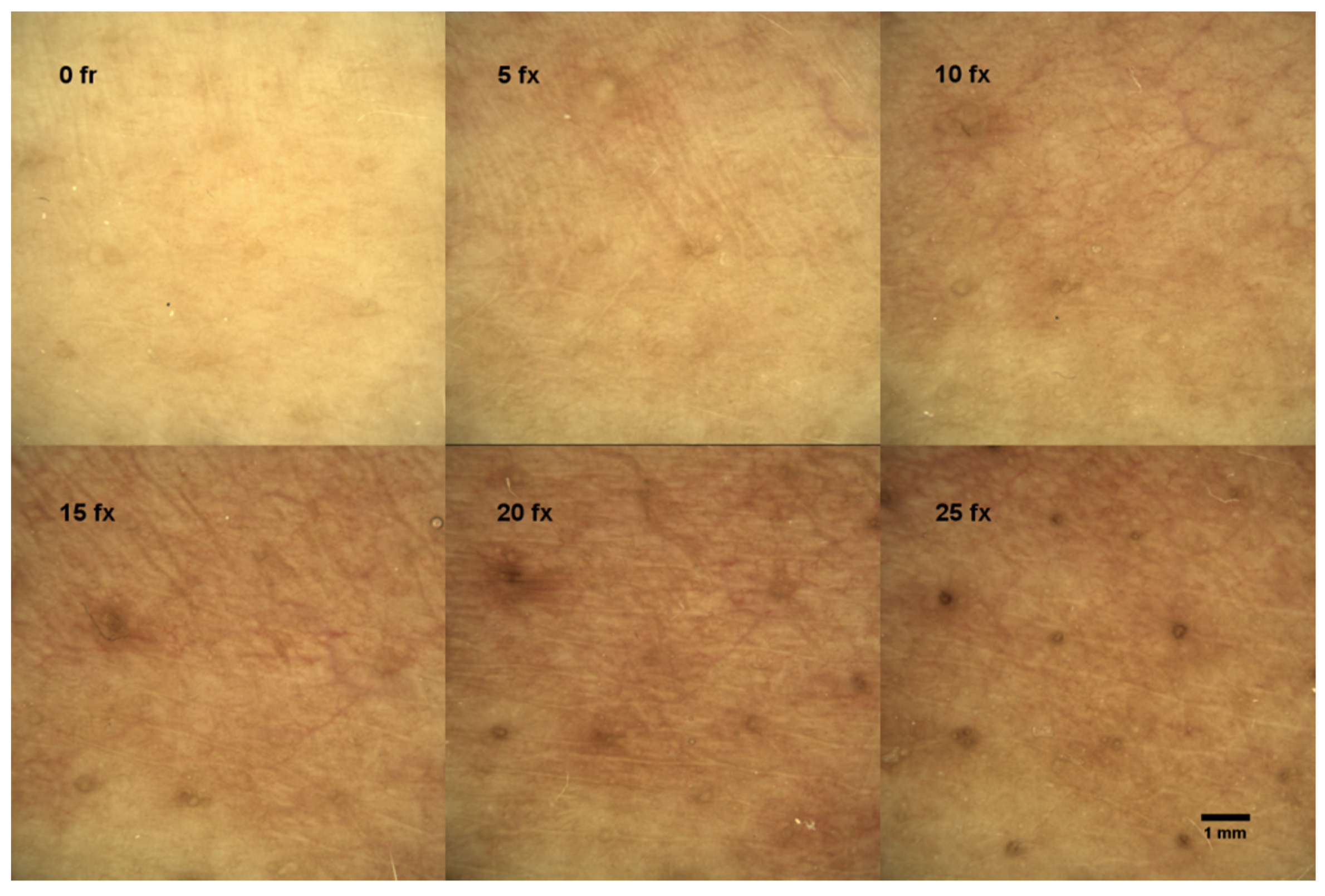 Diagnostics 11 01670 g001