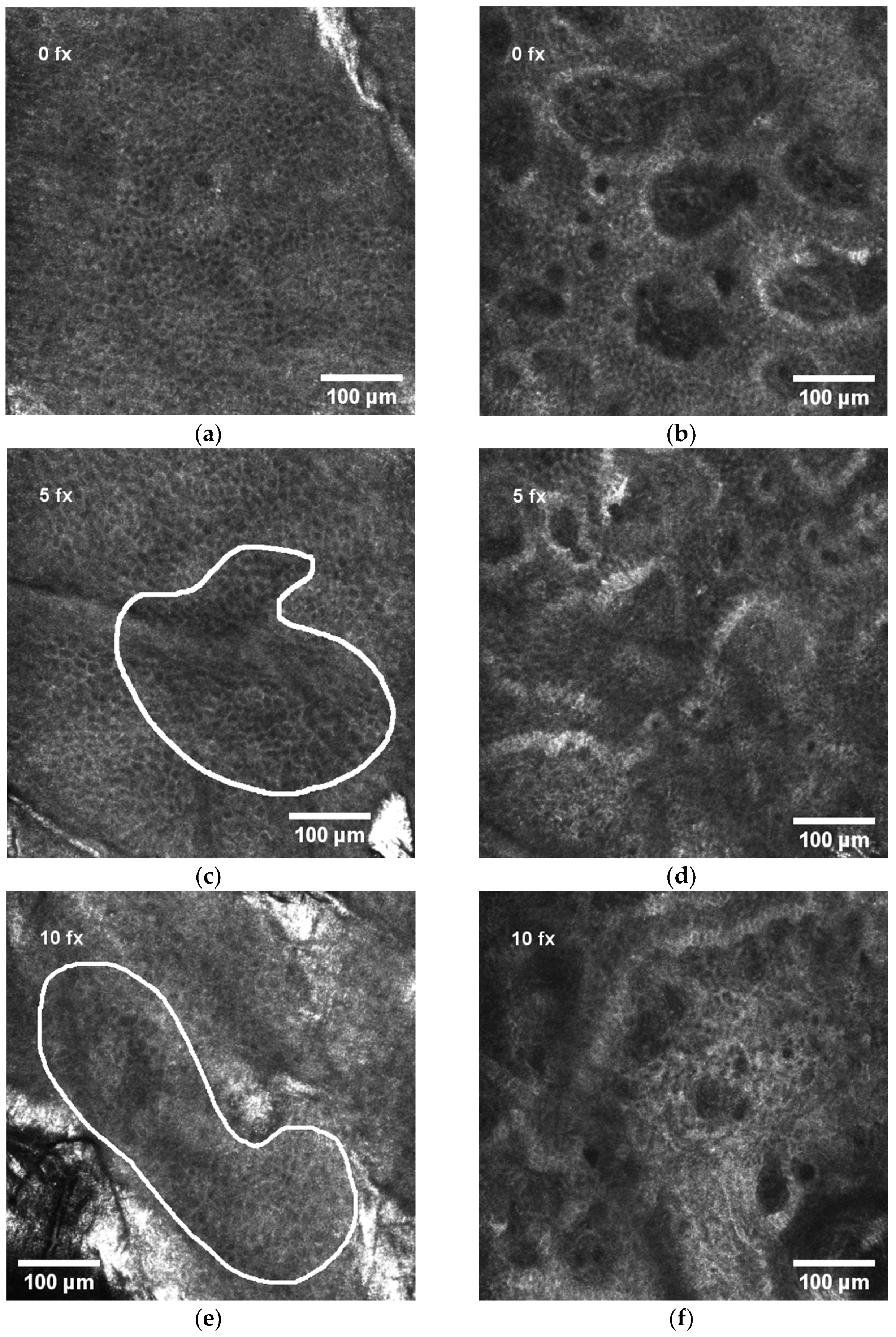 Diagnostics 11 01670 g002a