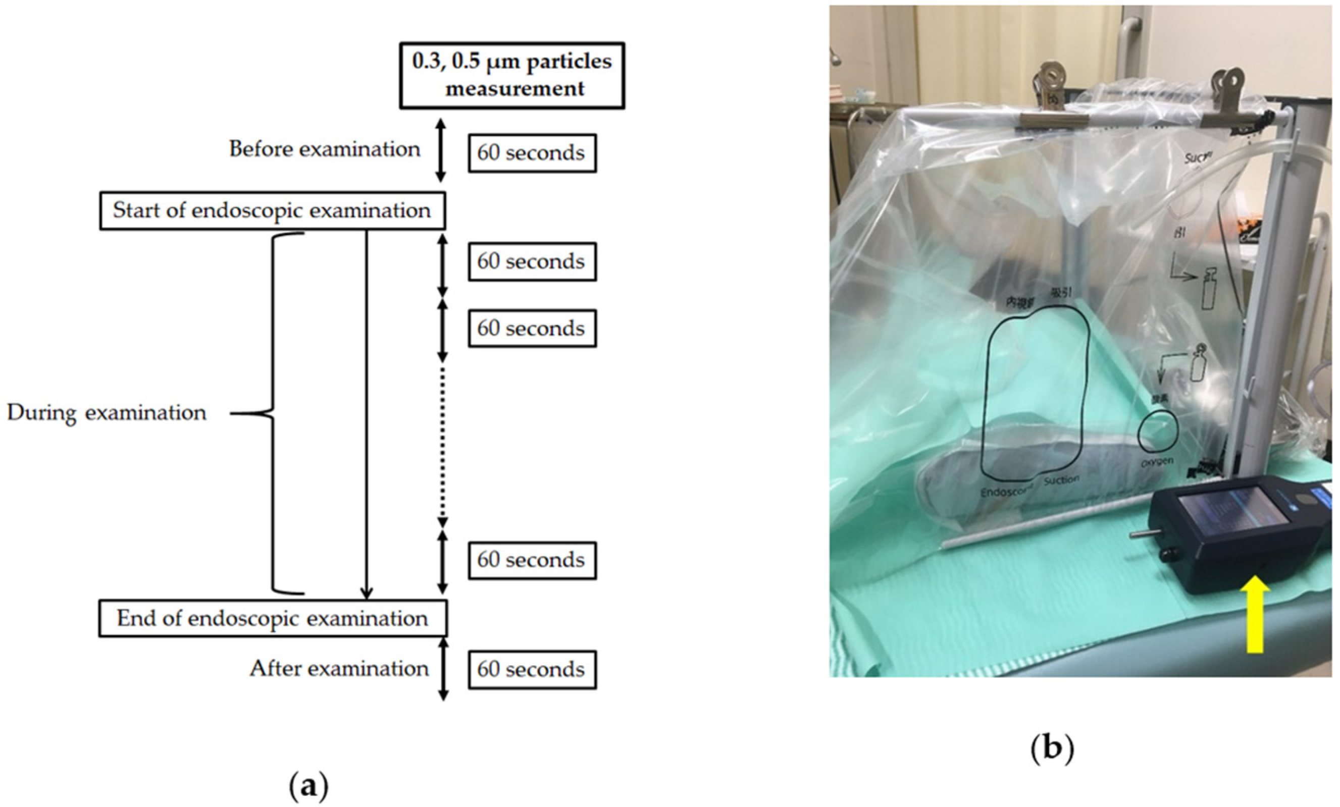 Diagnostics 11 01679 g002