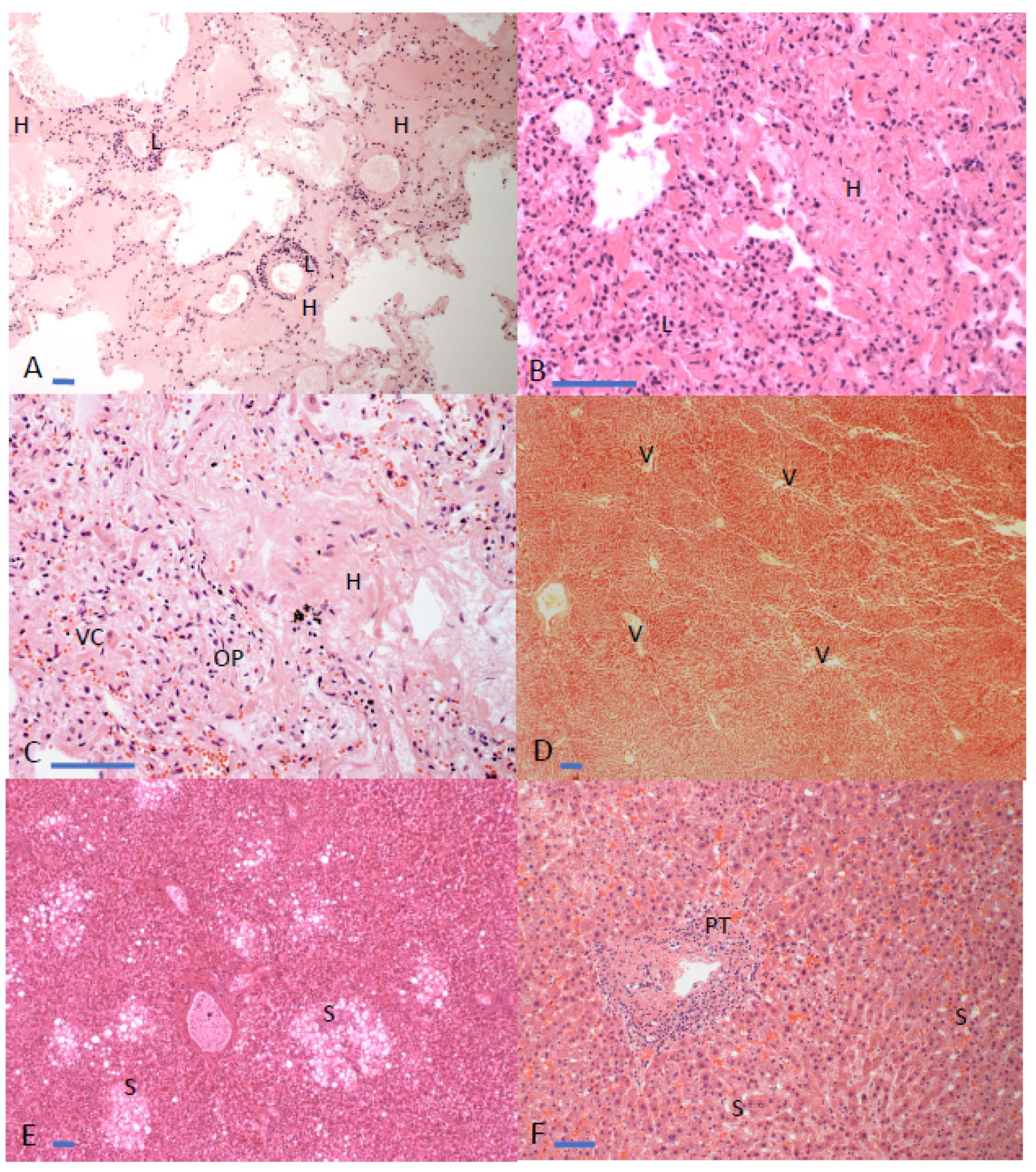 Diagnostics 11 01703 g002