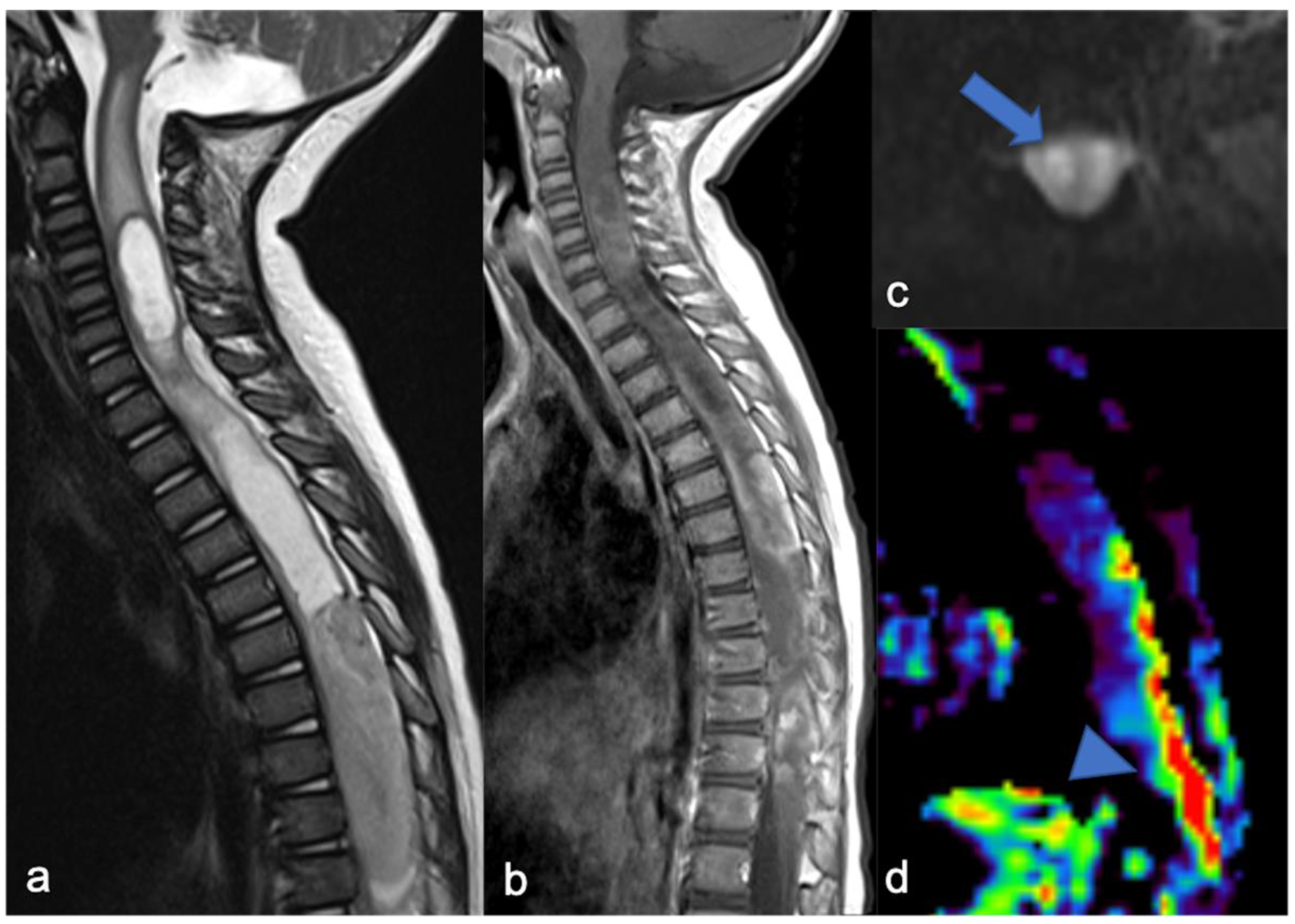 Diagnostics 11 01710 g004 Diagnostics 11 01710 g004