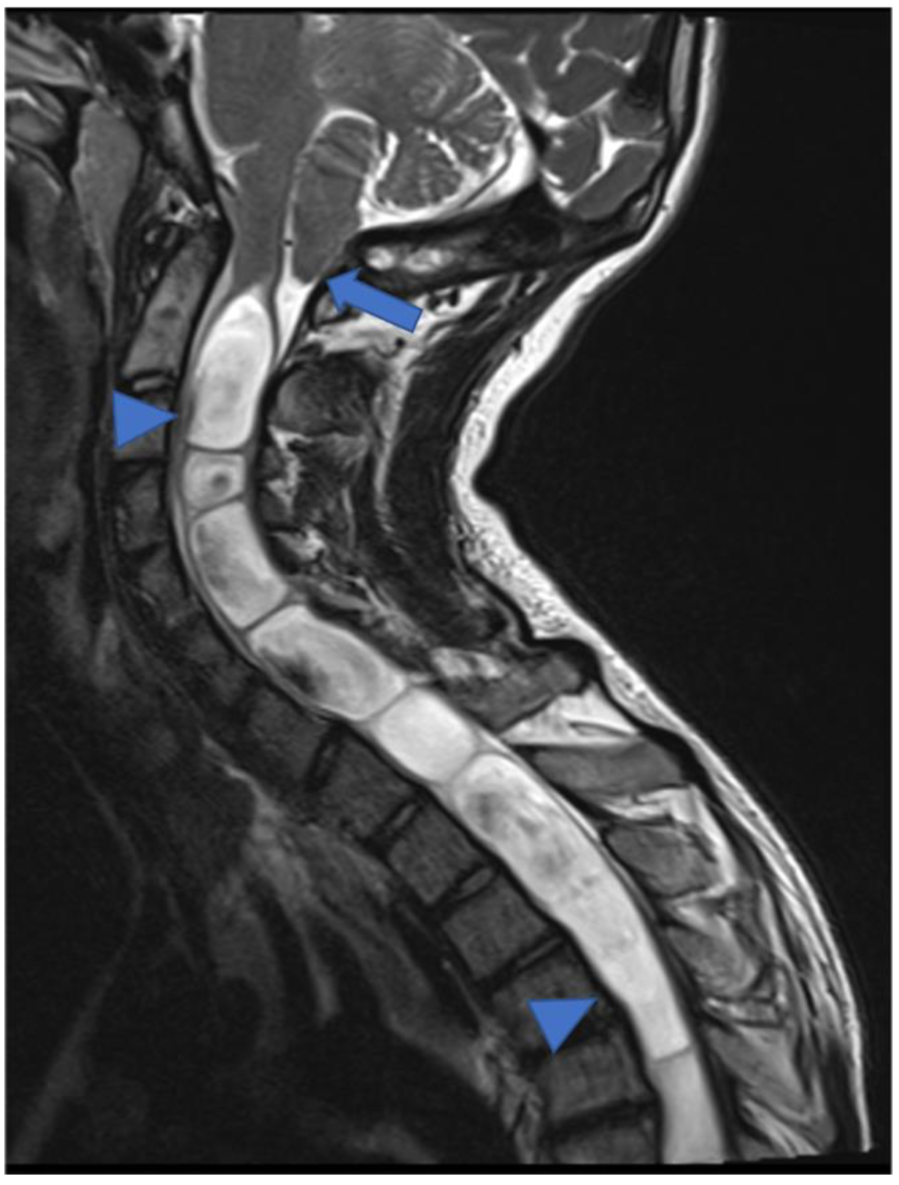 Diagnostics 11 01710 g017 Diagnostics 11 01710 g017