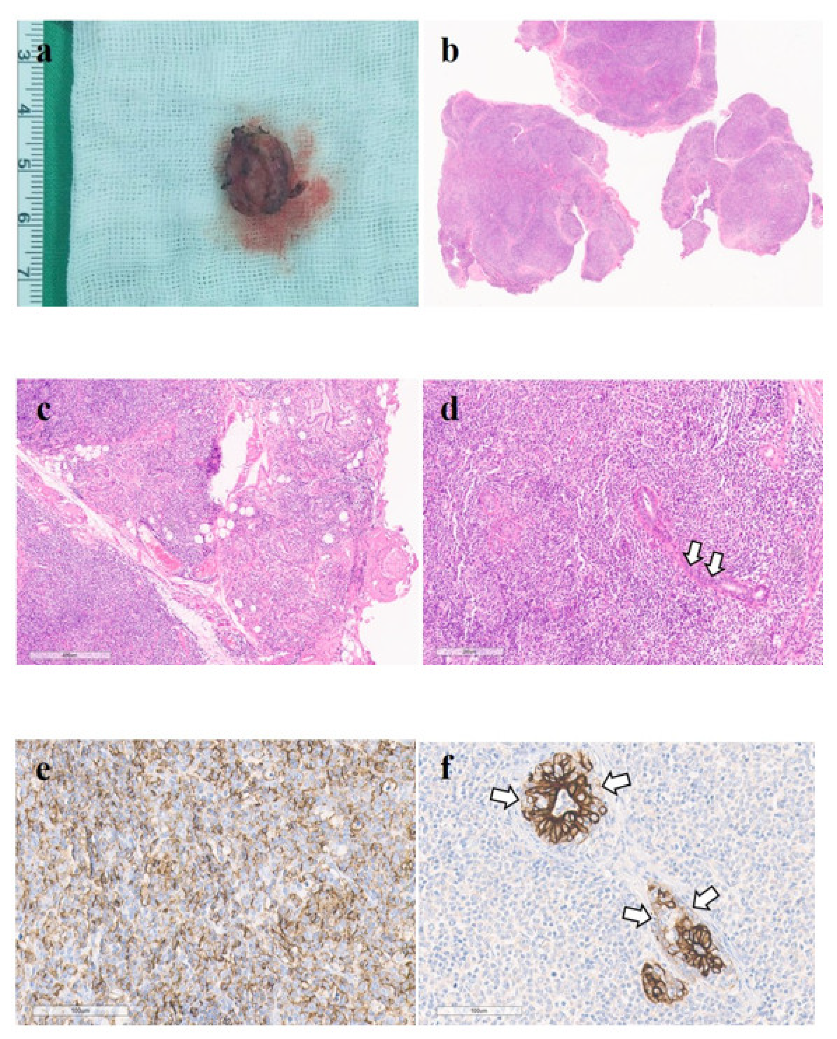 Diagnostics 11 01715 g004