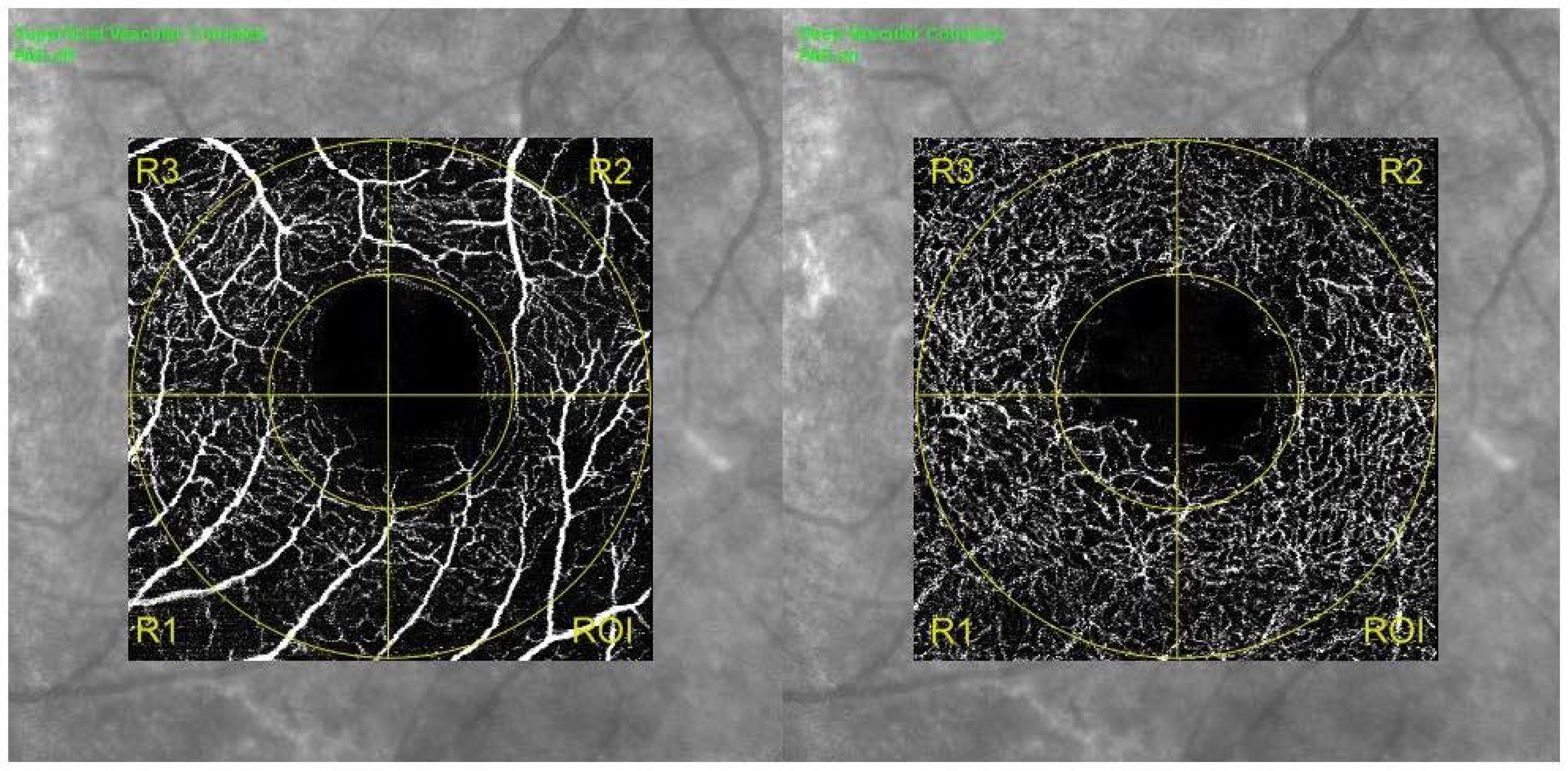 Diagnostics 11 01717 g002