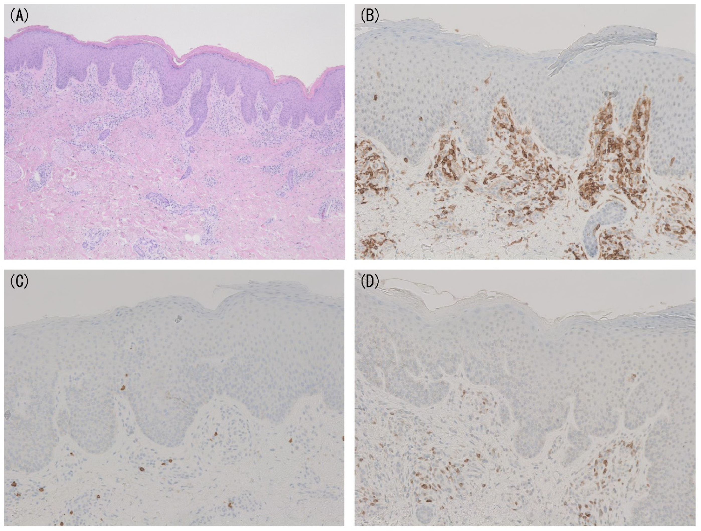 Diagnostics 11 01721 g002