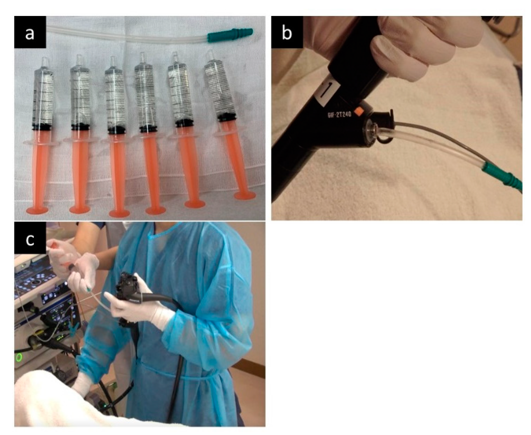 Diagnostics 11 01726 g001