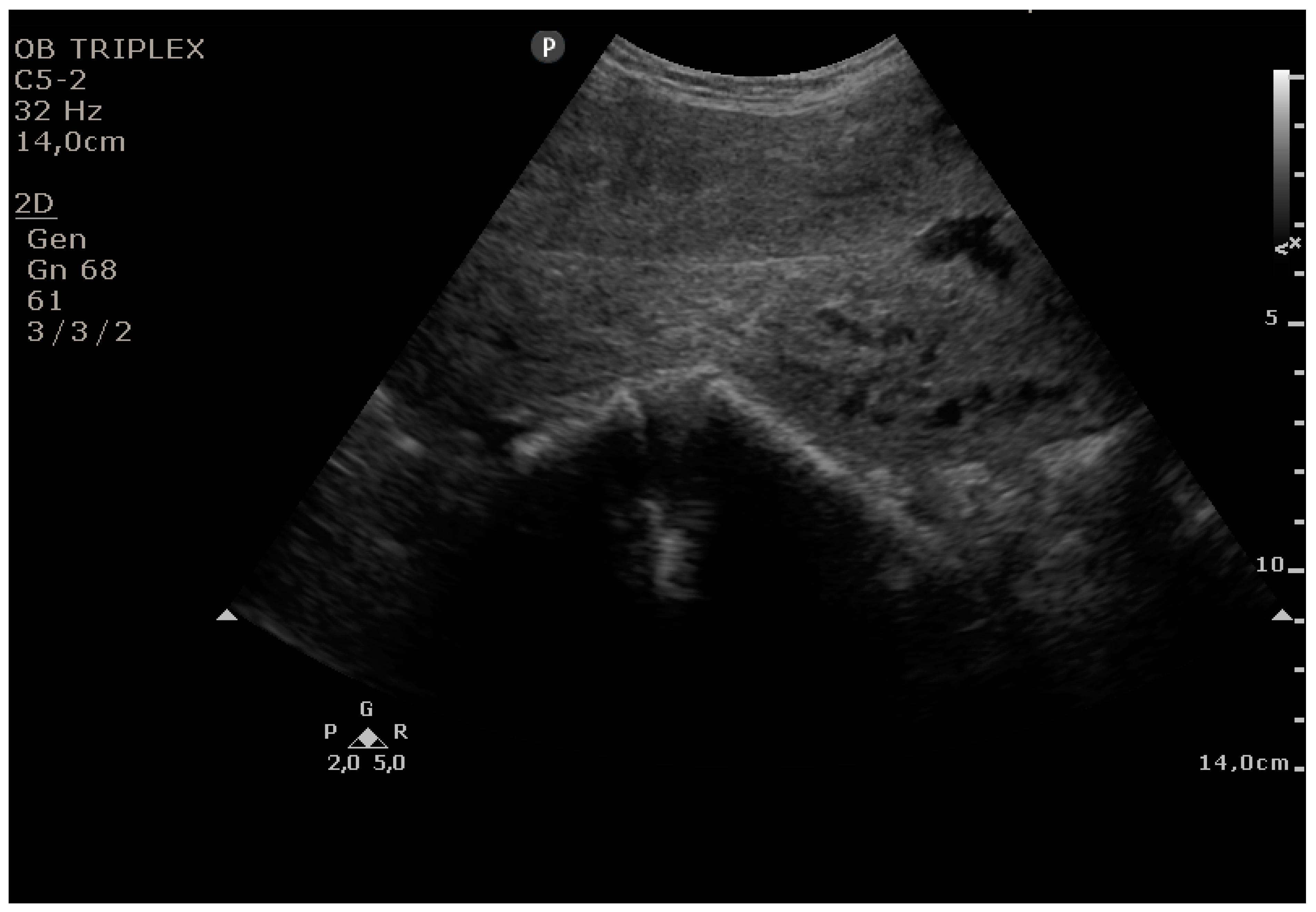 Diagnostics 11 01731 g002
