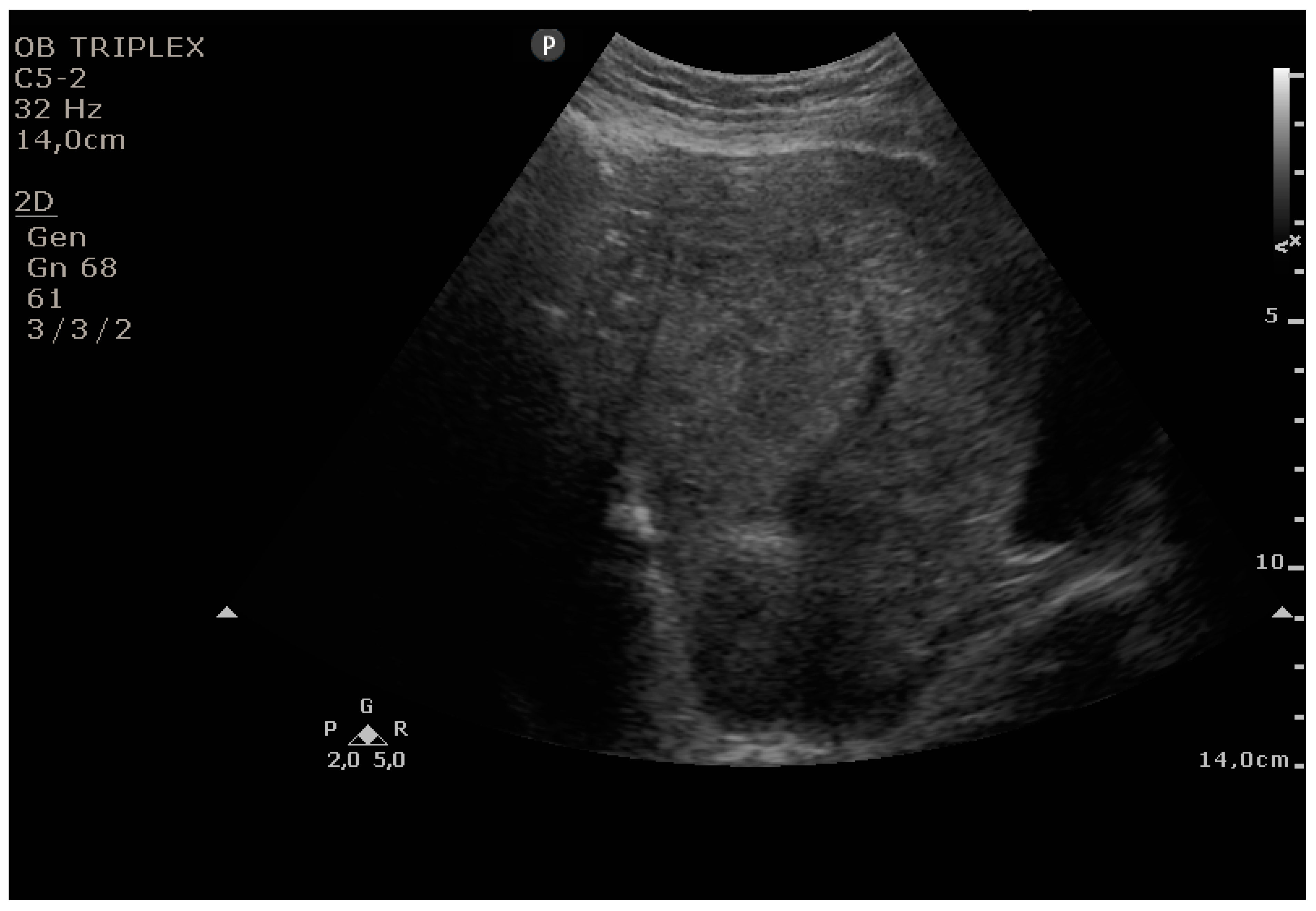 Diagnostics 11 01731 g004