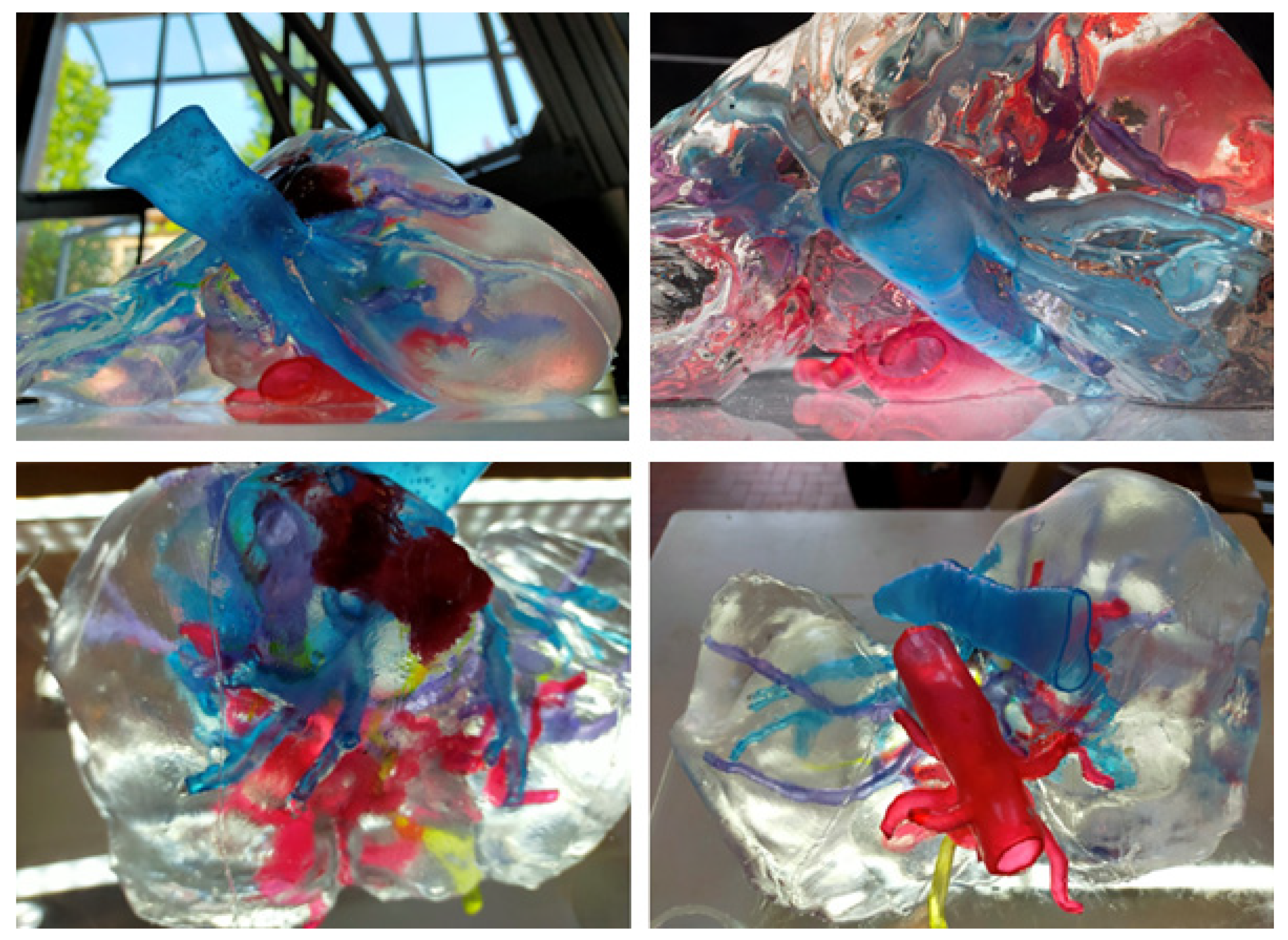 Diagnostics 11 01734 g003