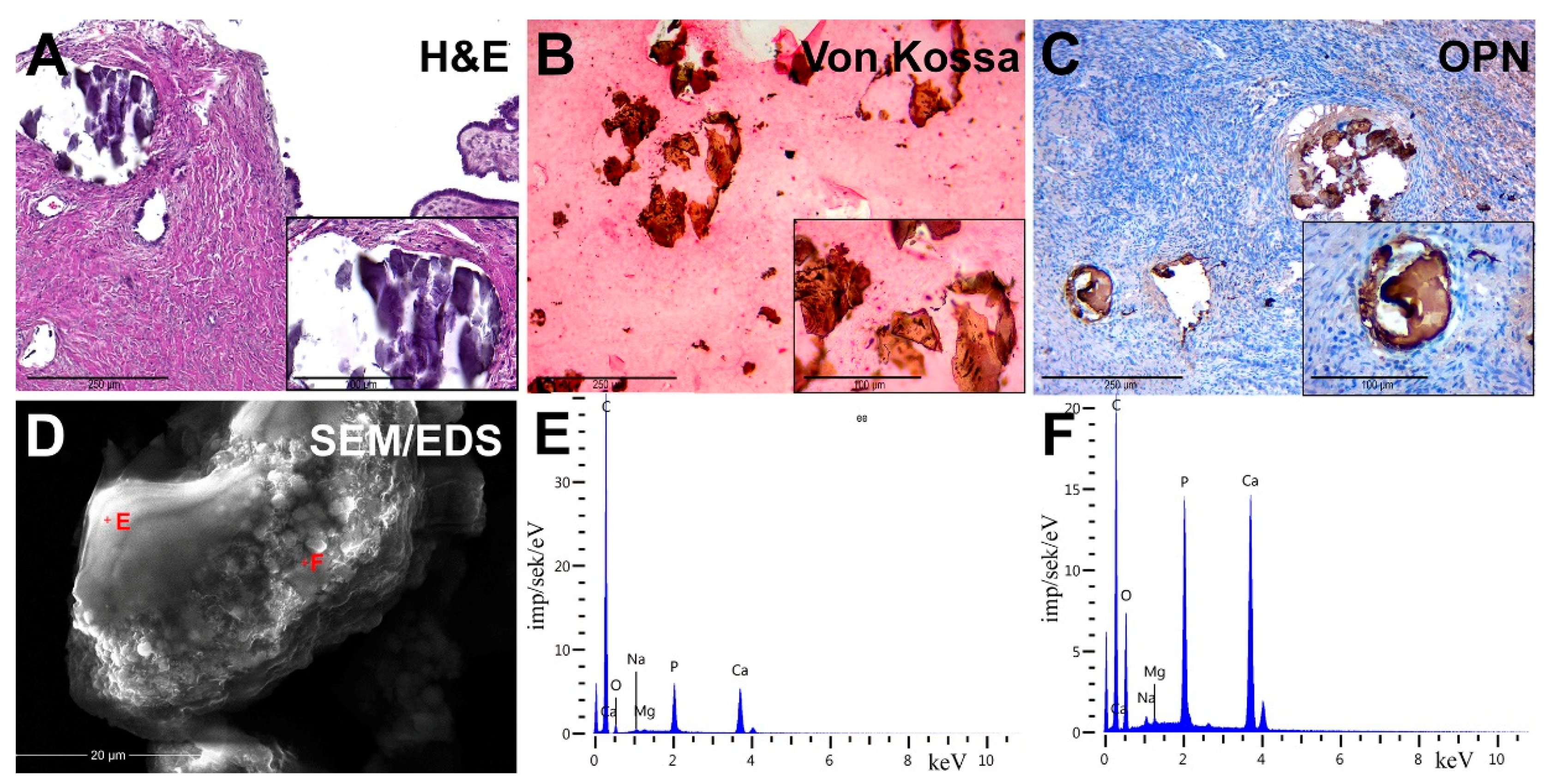 Diagnostics 11 01741 g002