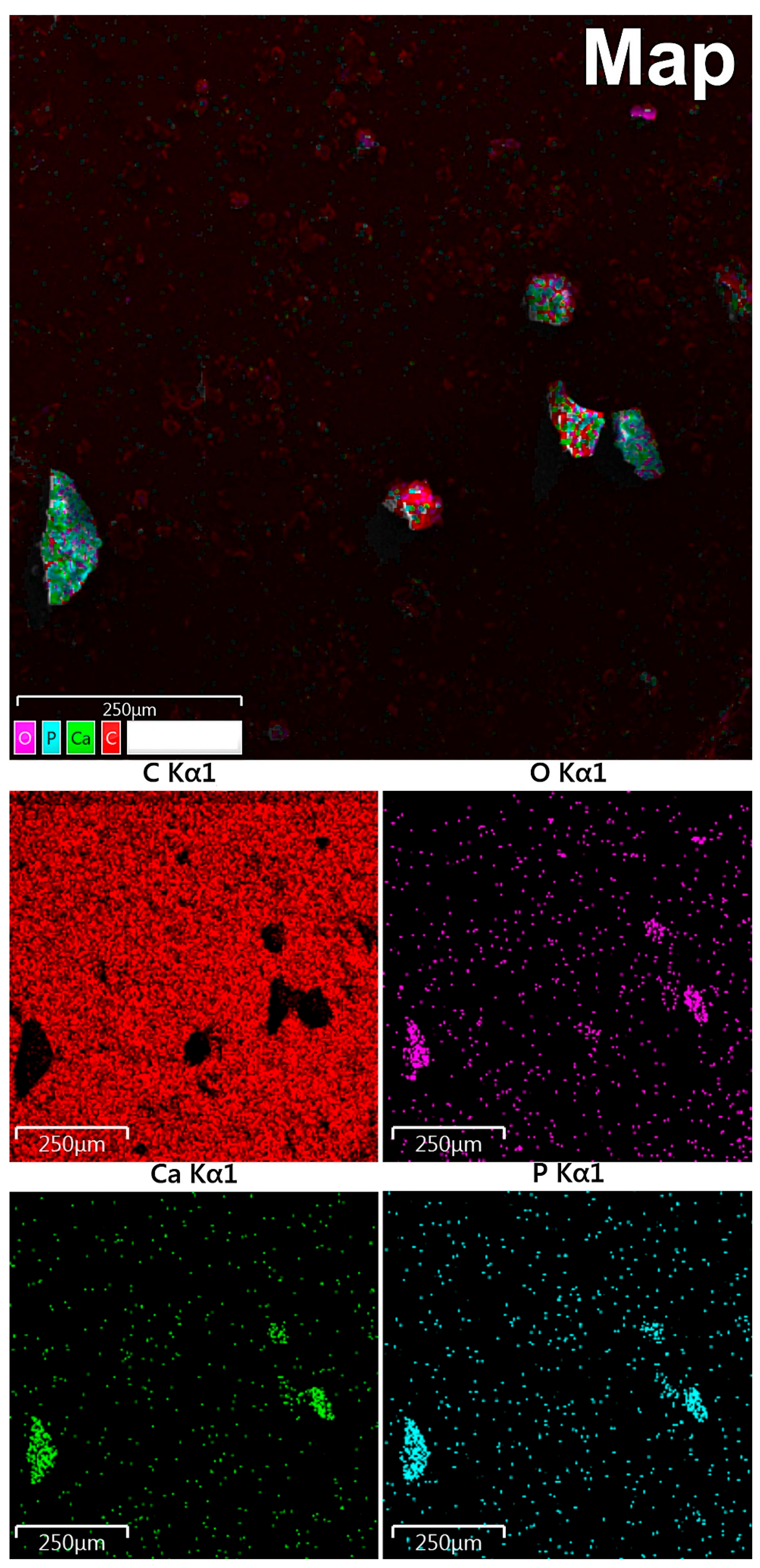 Diagnostics 11 01741 g003