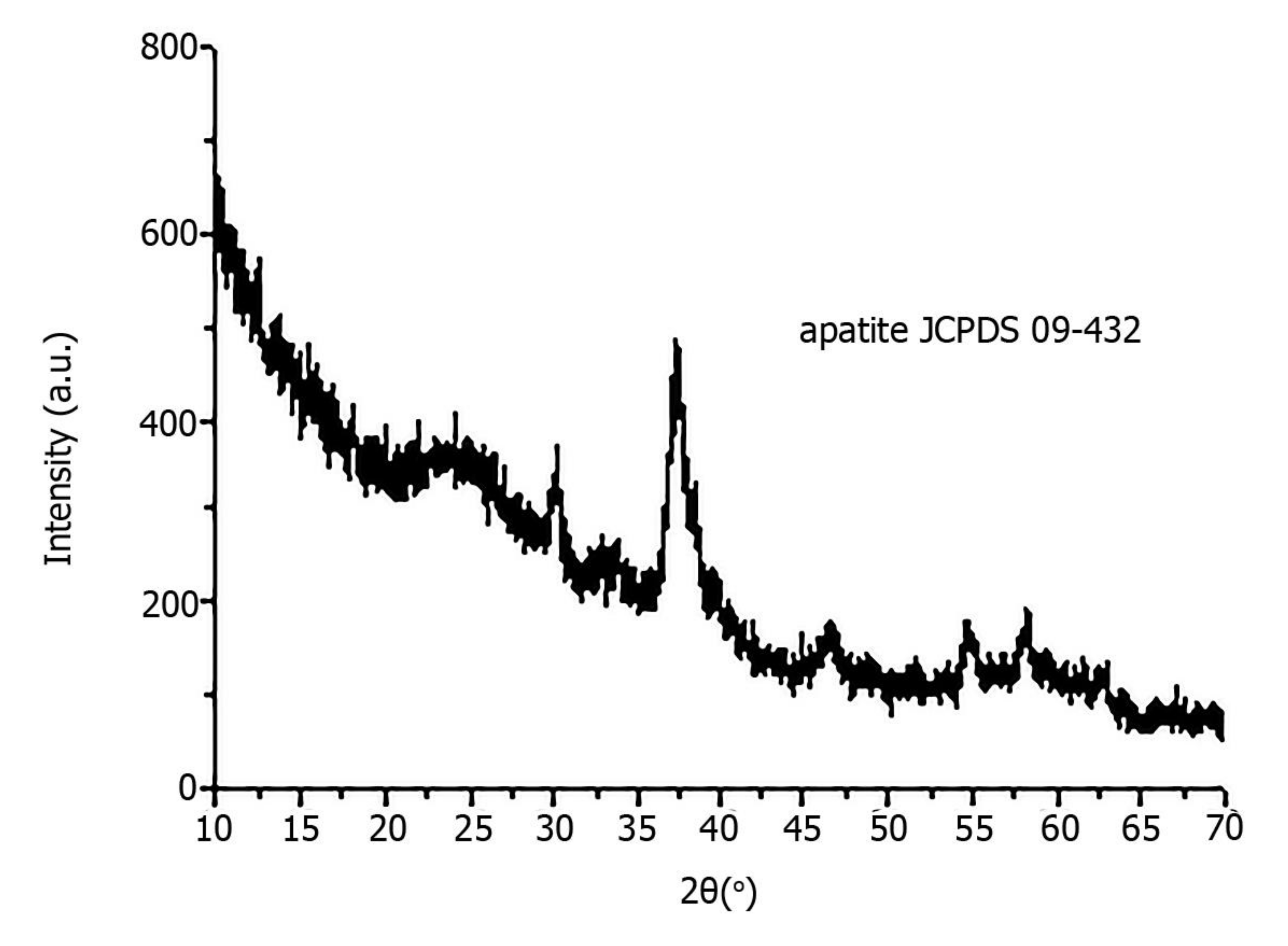 Diagnostics 11 01741 g005