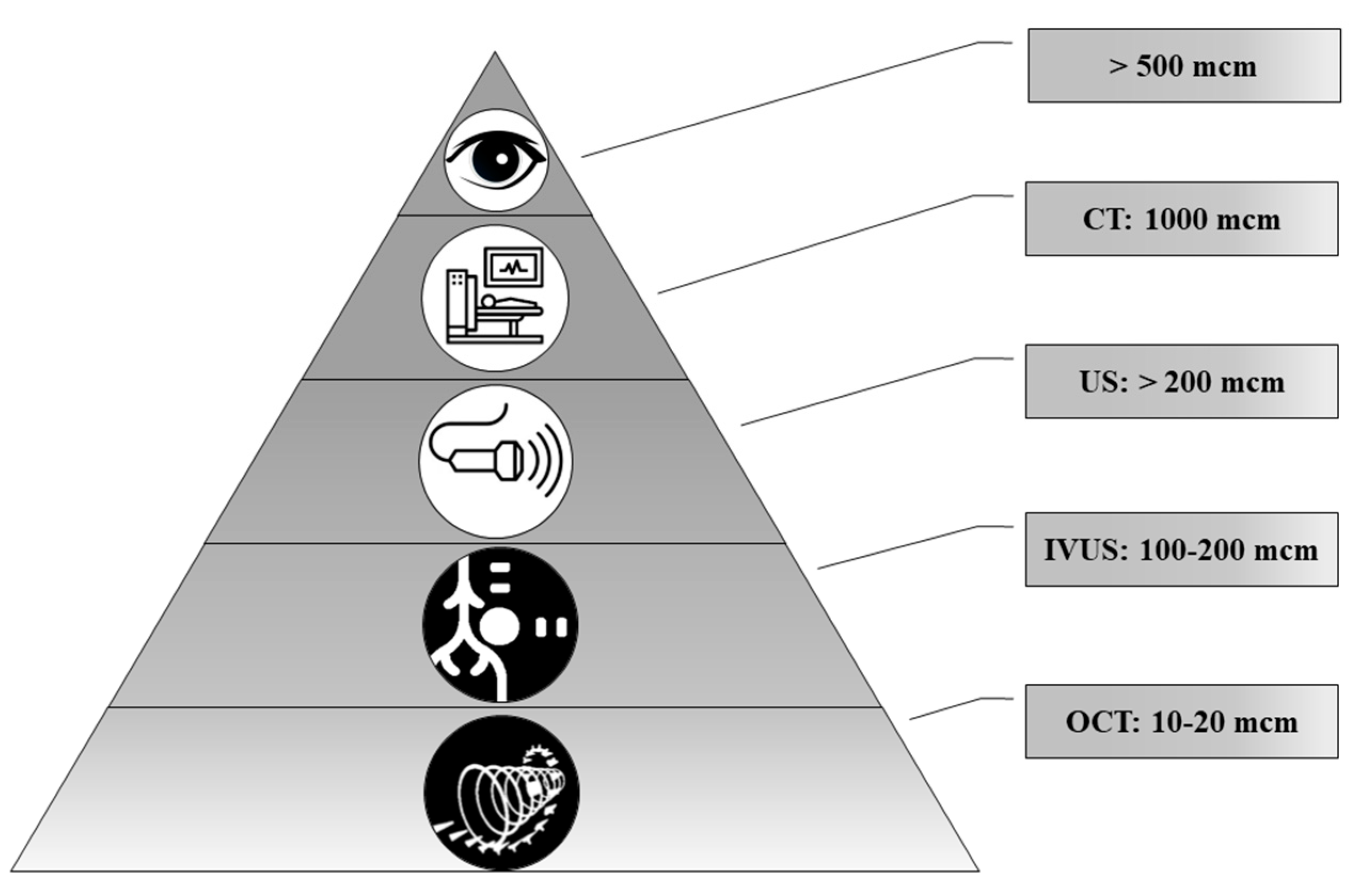Diagnostics 11 01741 g006