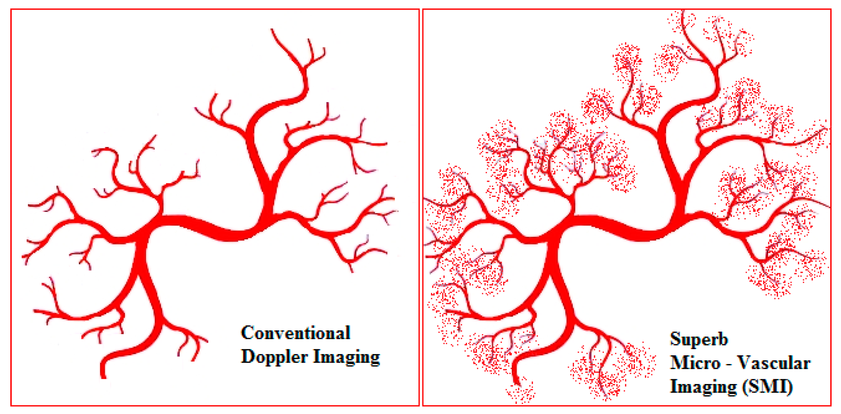 Diagnostics 11 01743 g001