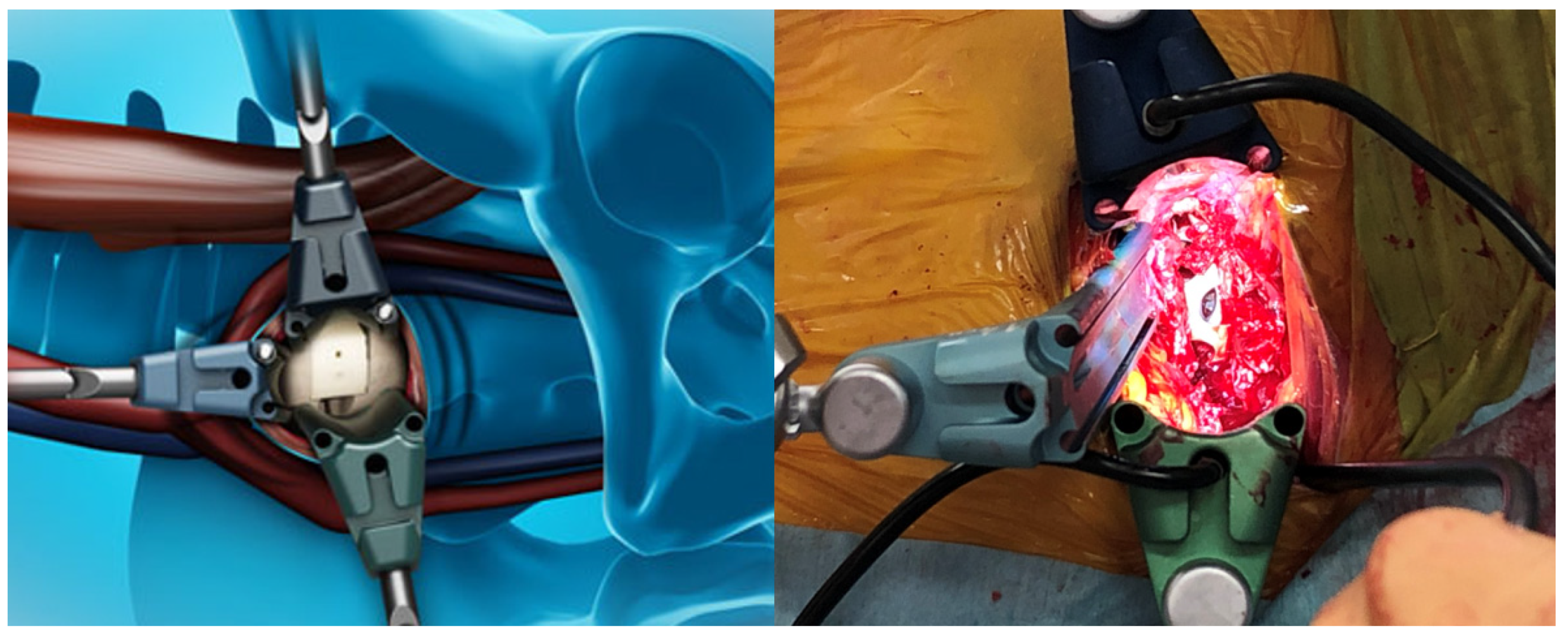 Diagnostics 11 01744 g002