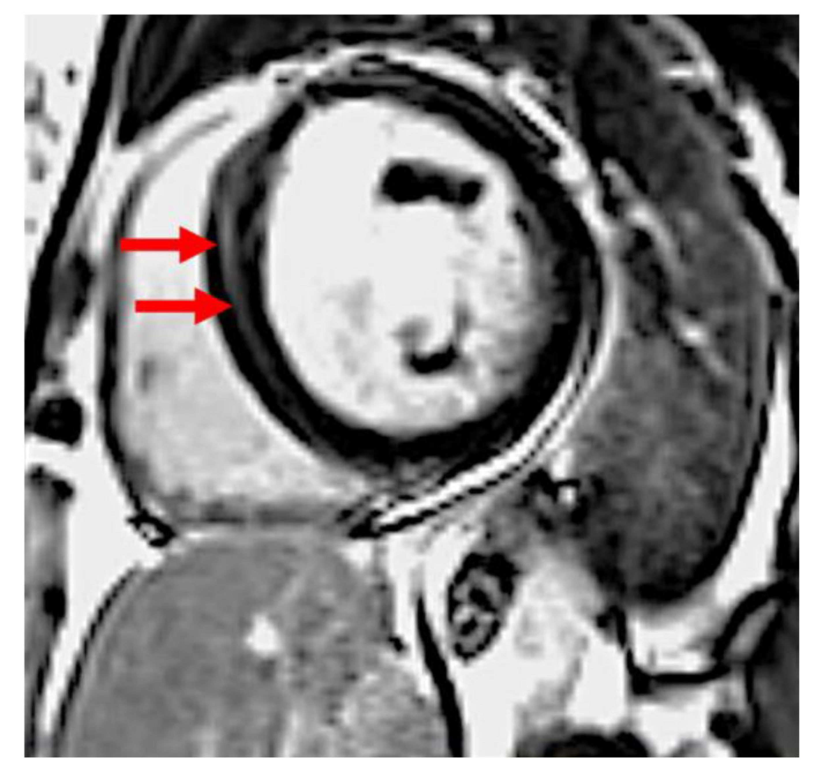 Diagnostics 11 01752 g001 Diagnostics 11 01752 g001