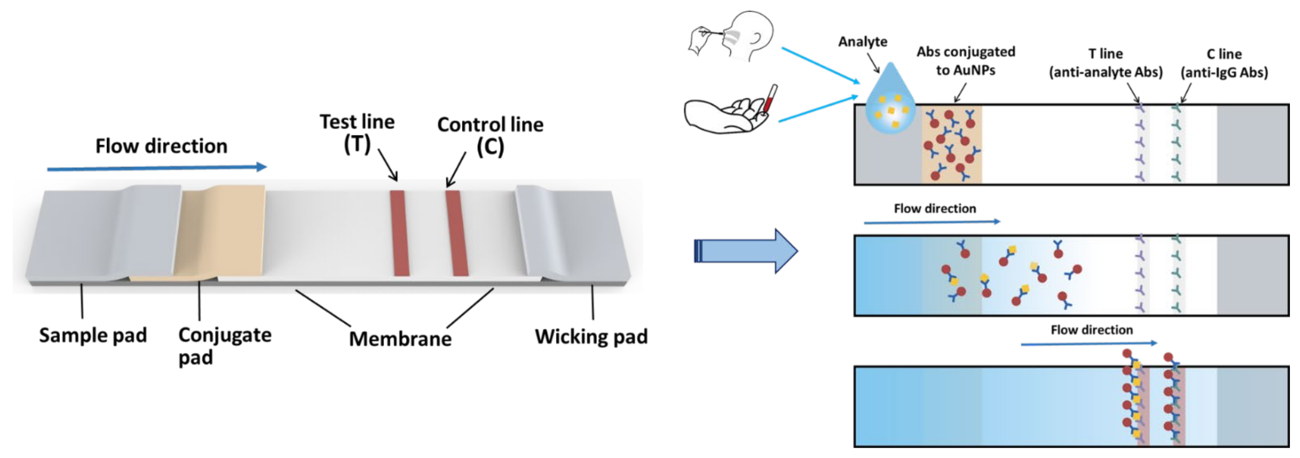 Diagnostics 11 01760 g002