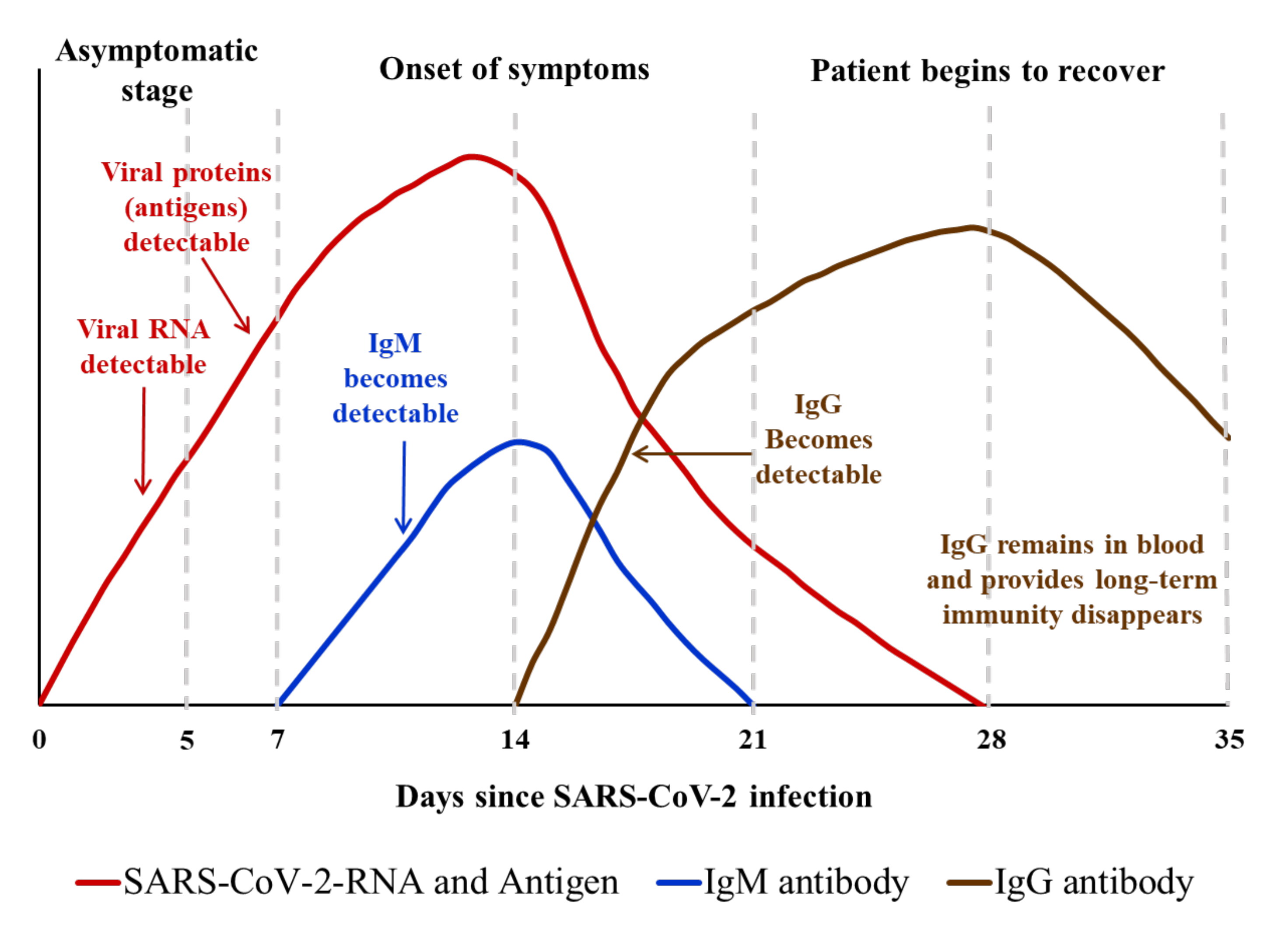 Diagnostics 11 01760 g003