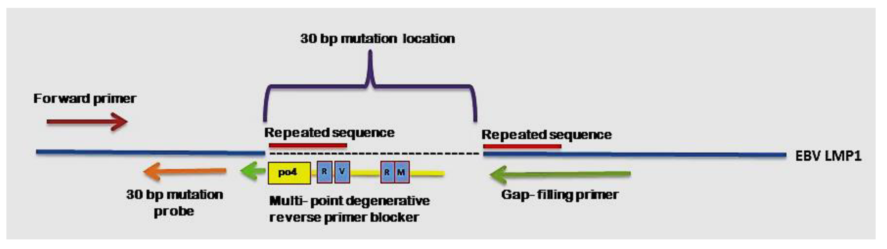 Diagnostics 11 01761 g002
