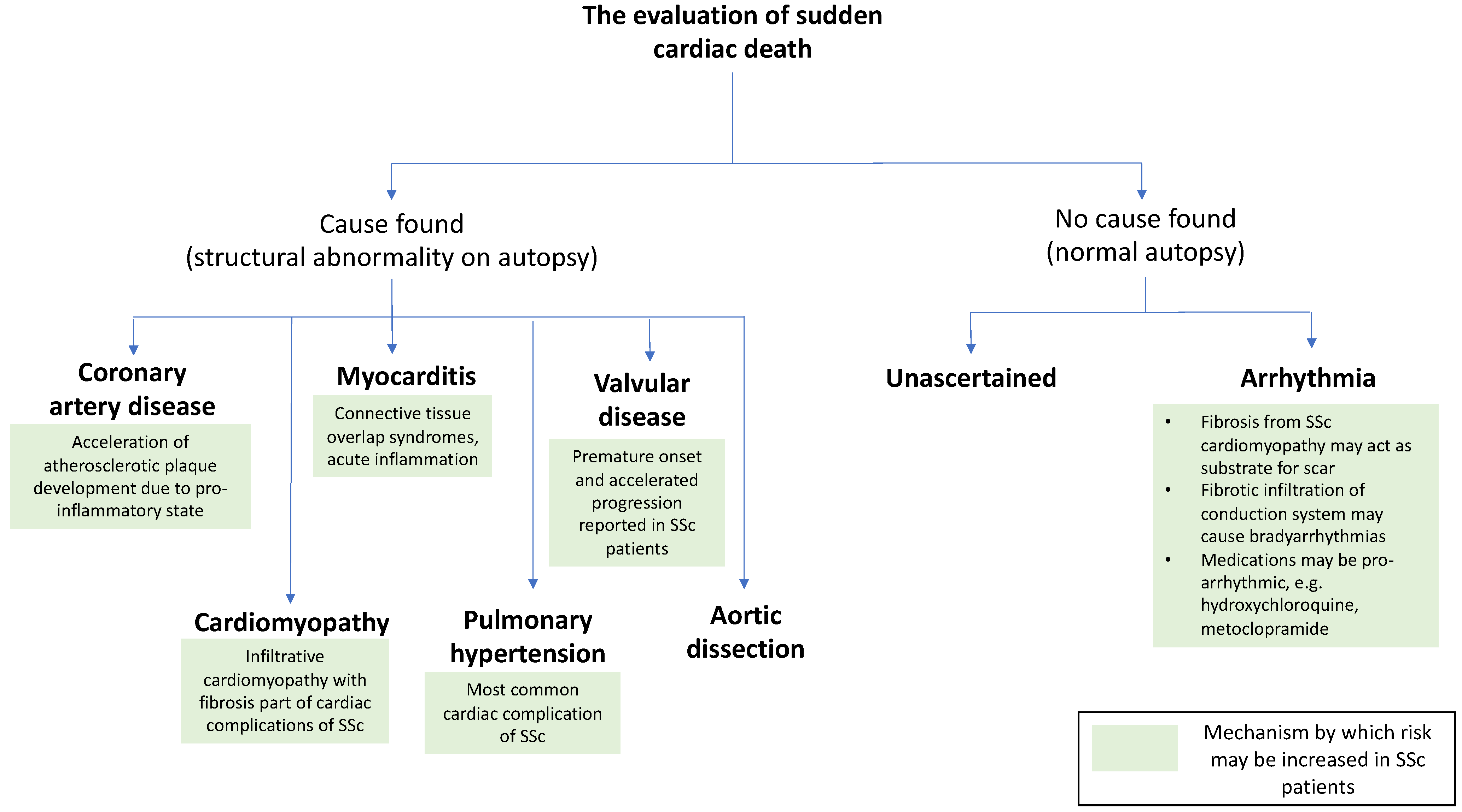 Diagnostics 11 01781 g002