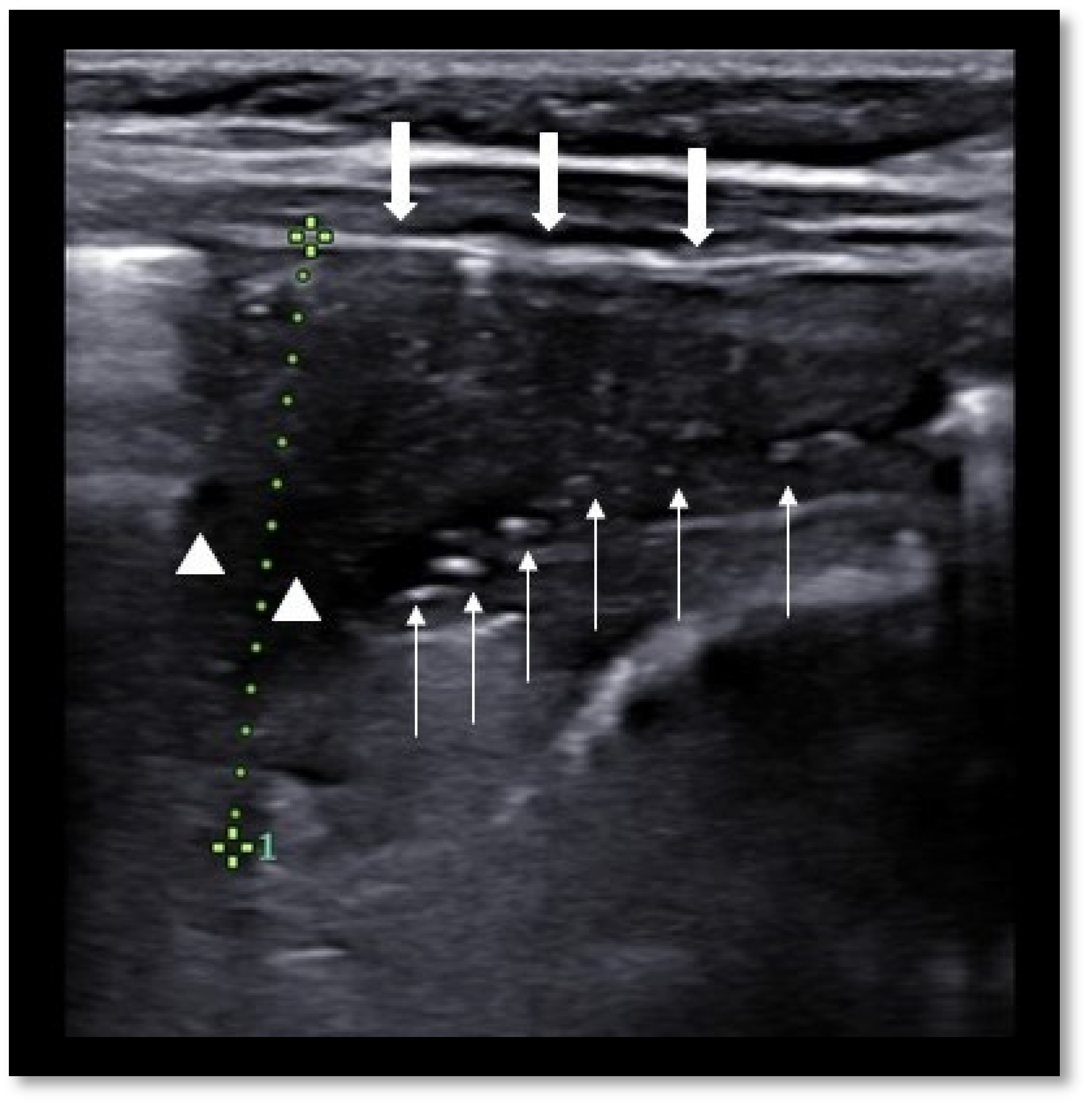 Diagnostics 11 01783 g001