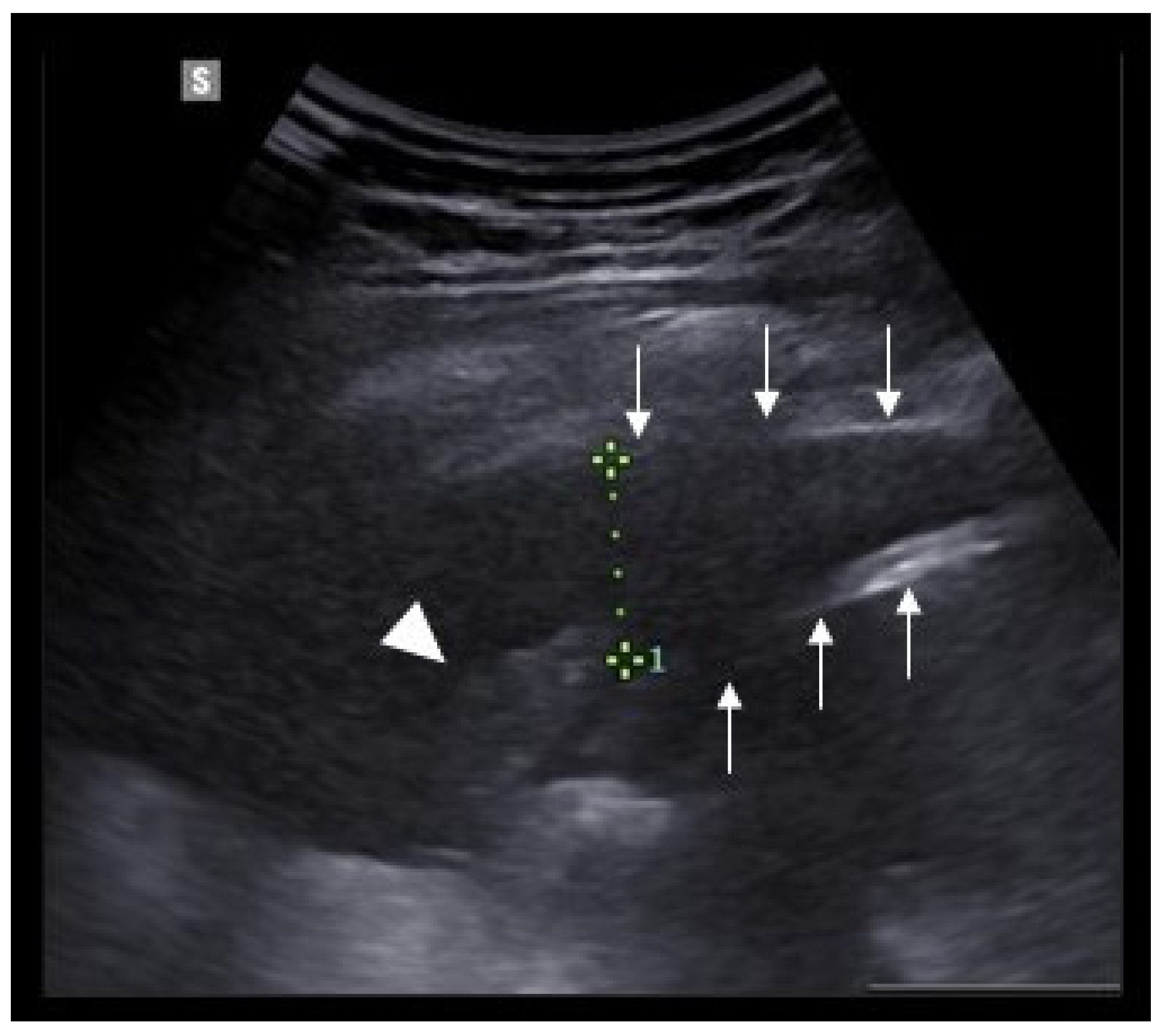 Diagnostics 11 01783 g002