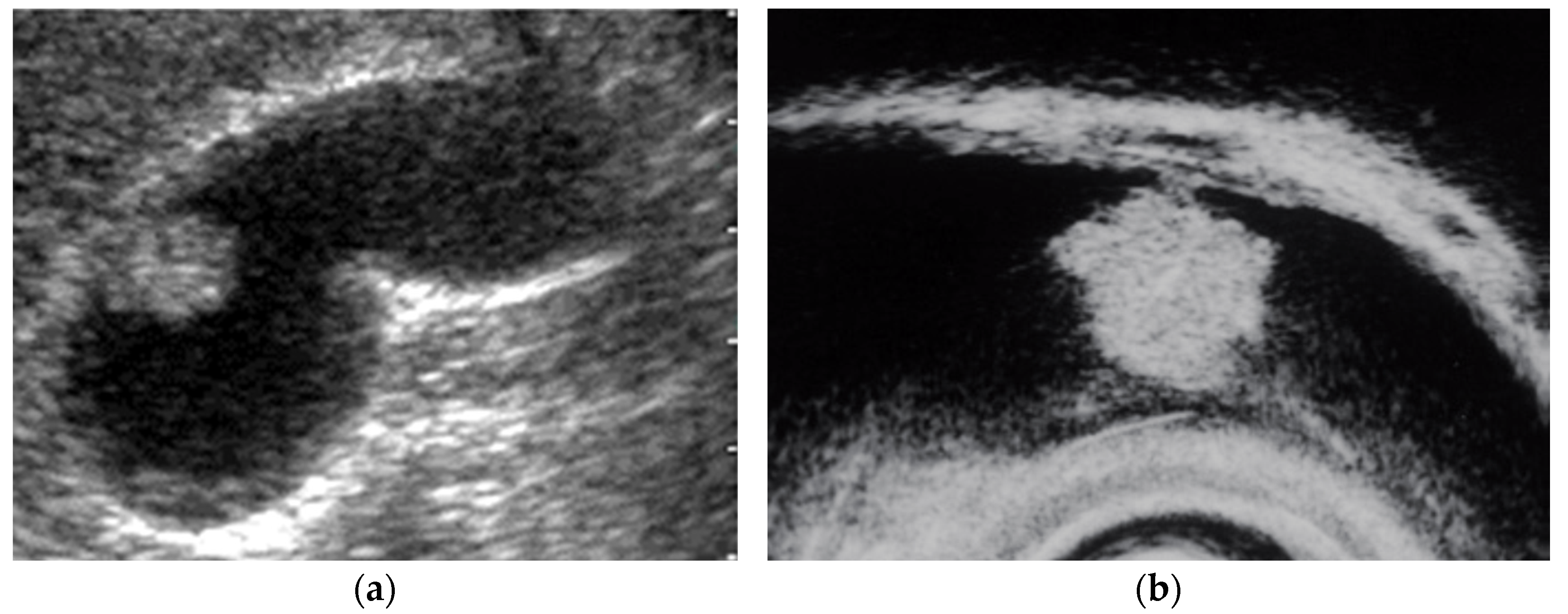 Diagnostics 11 01789 g002