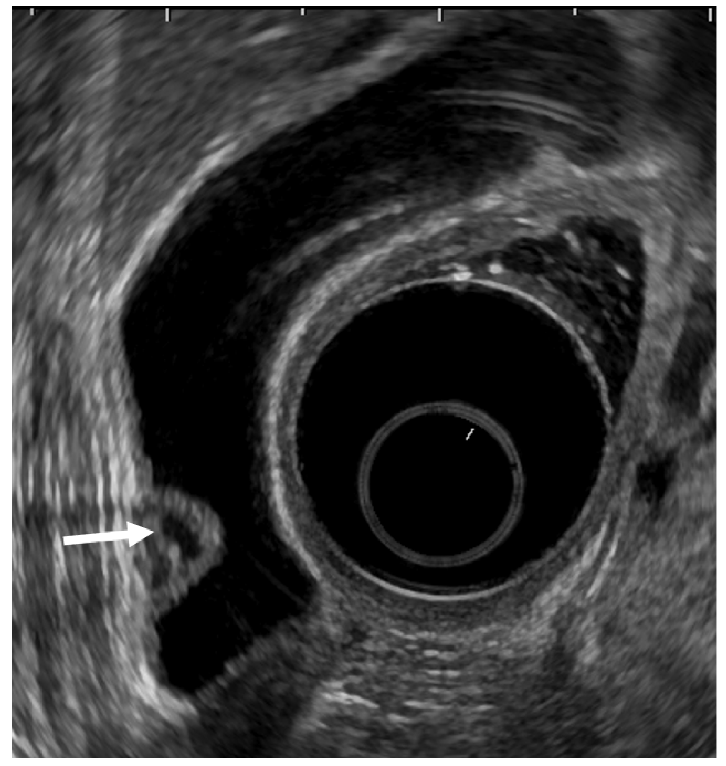 Diagnostics 11 01789 g003