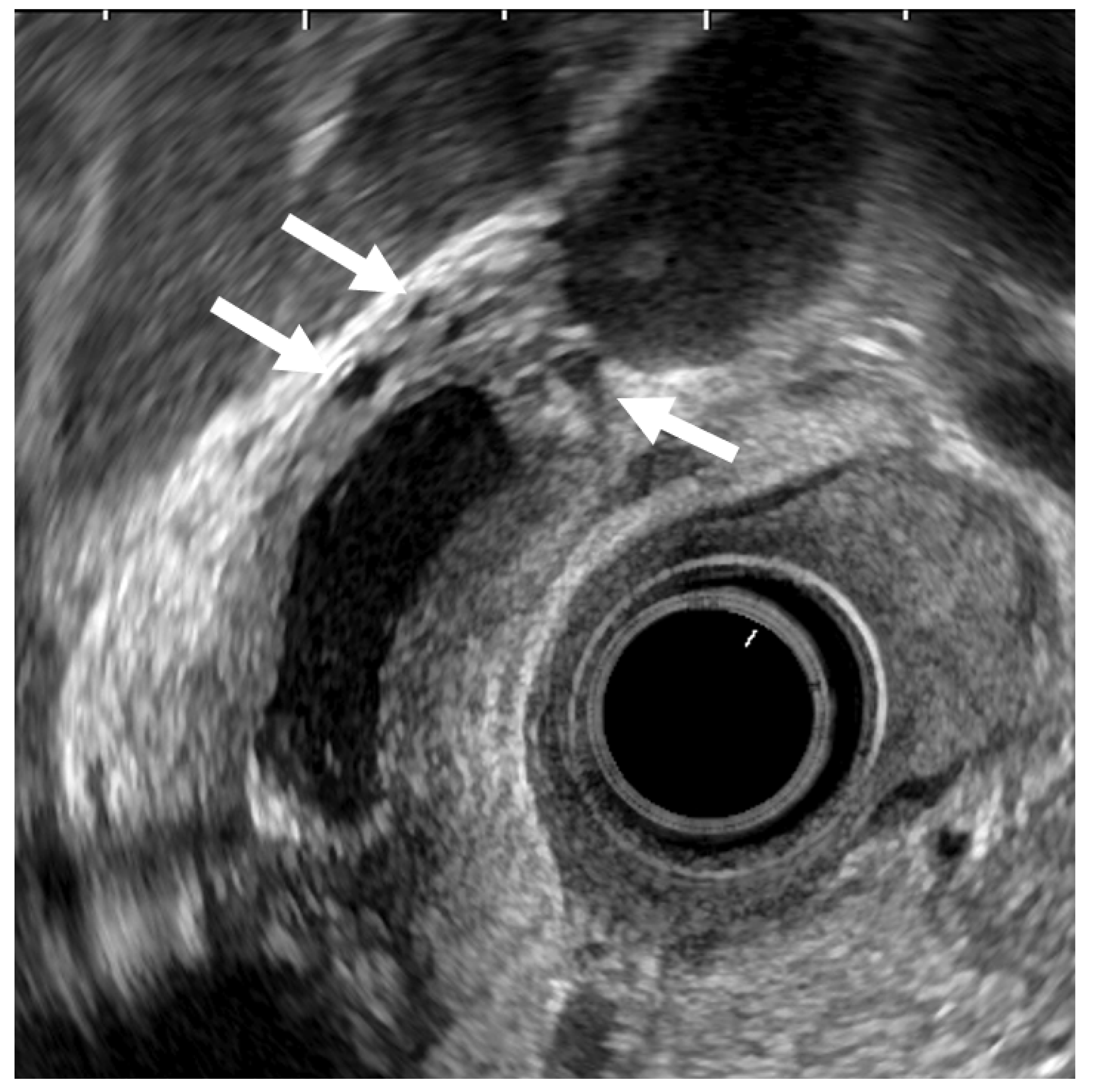 Diagnostics 11 01789 g004