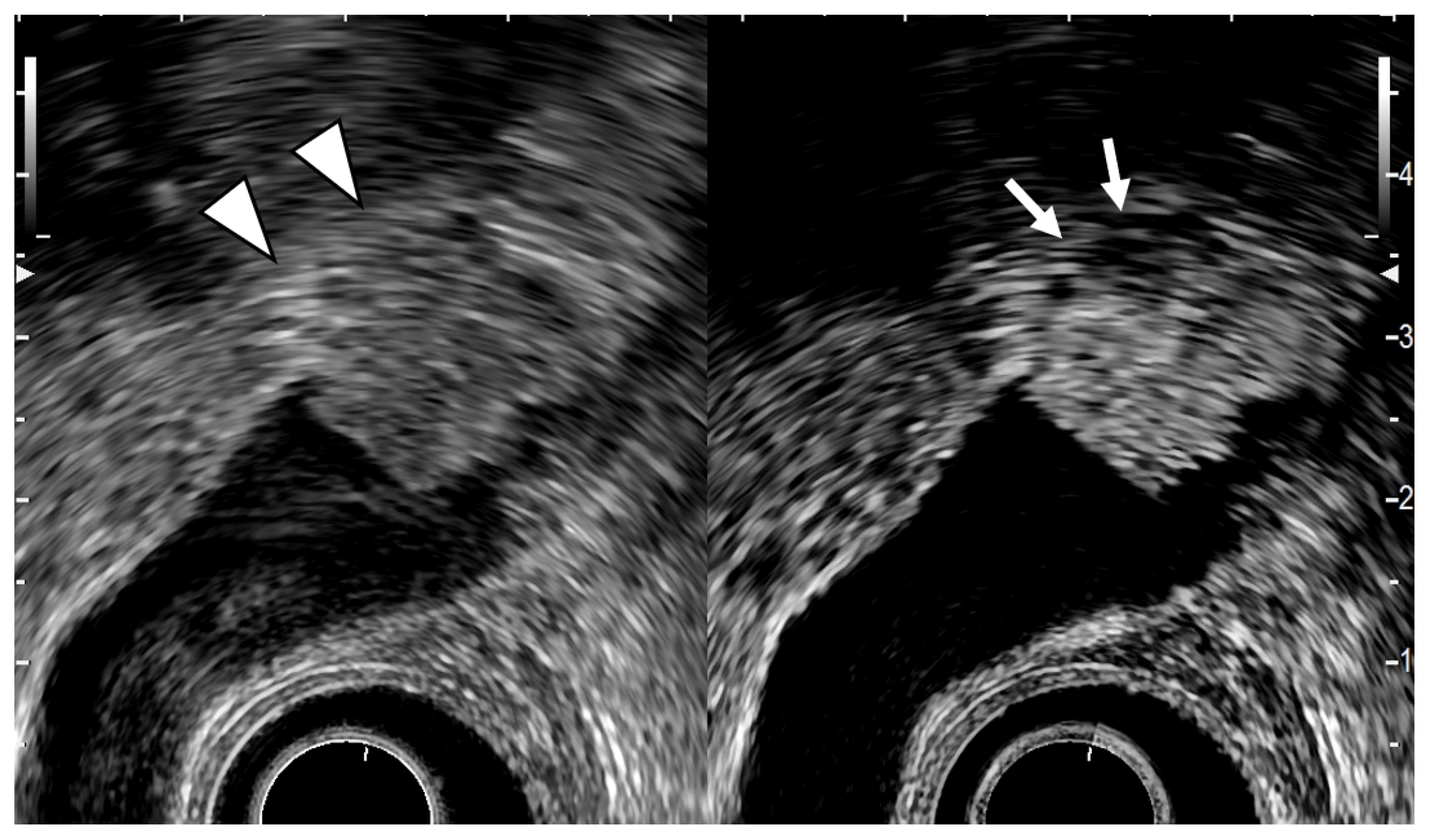 Diagnostics 11 01789 g006
