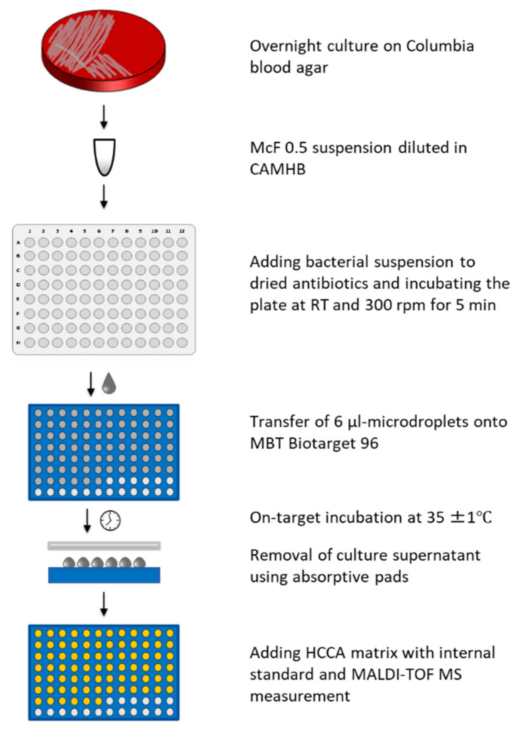 Diagnostics 11 01803 g001