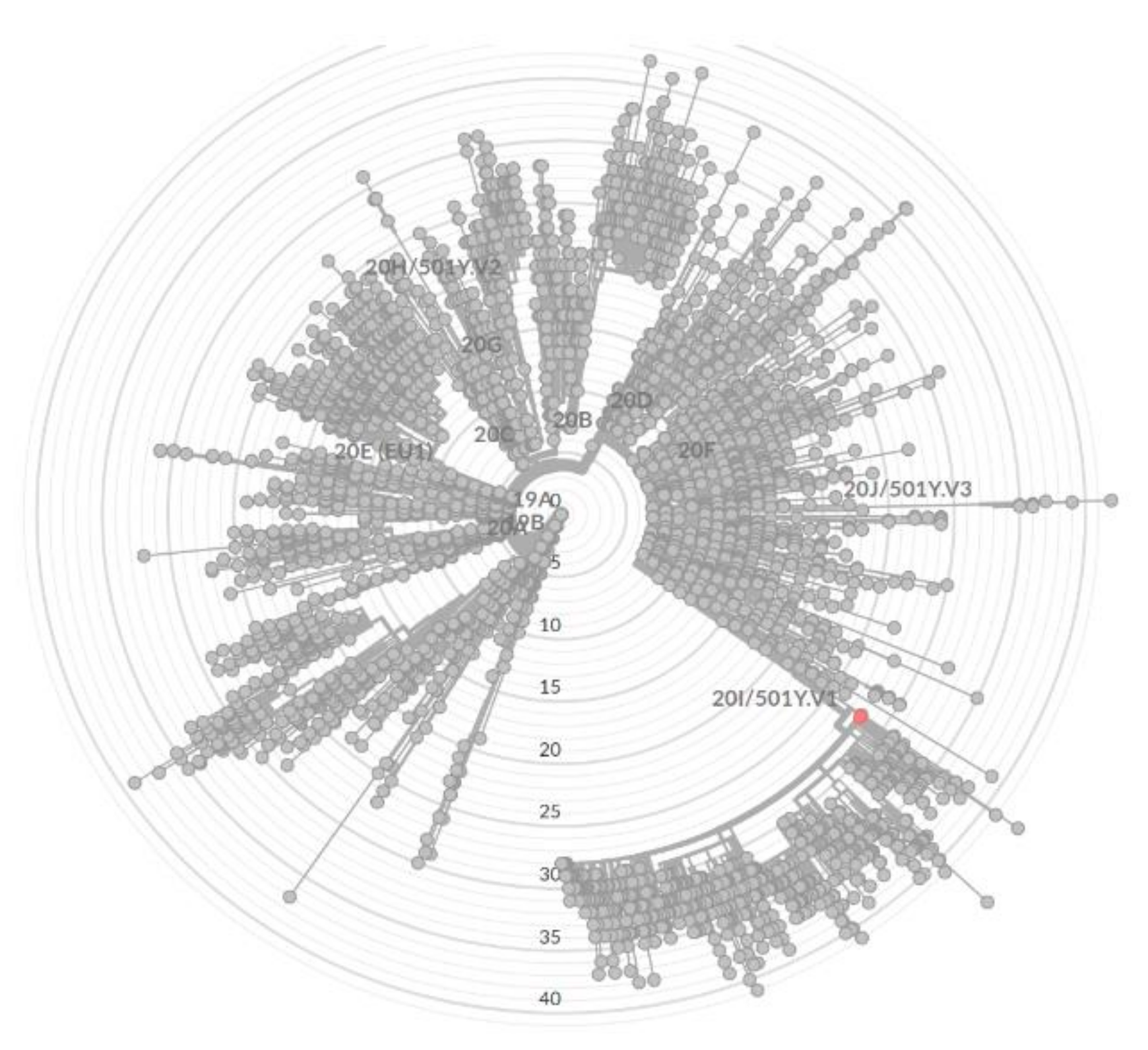 Diagnostics 11 01815 g002