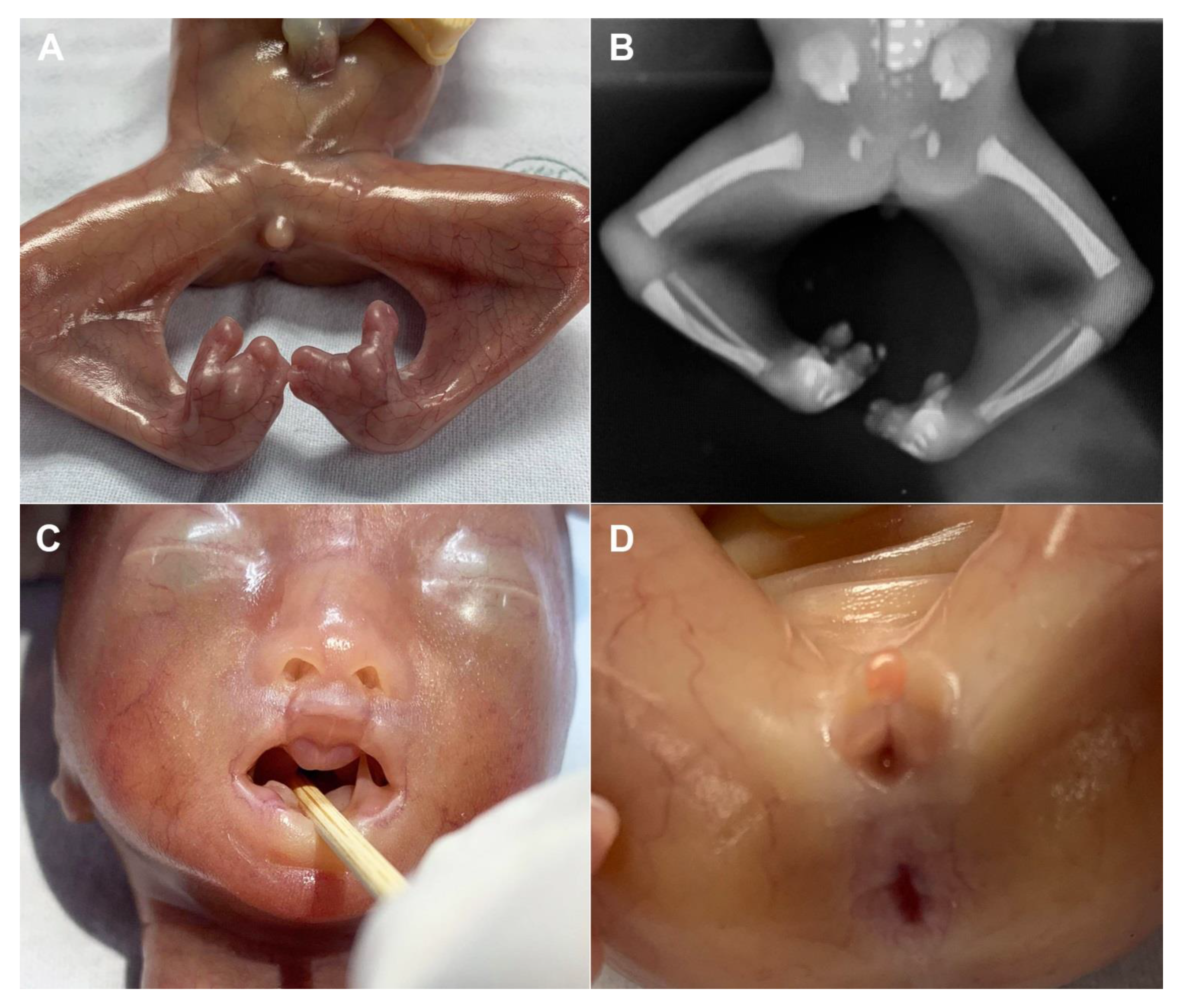 Diagnostics 11 01819 g002