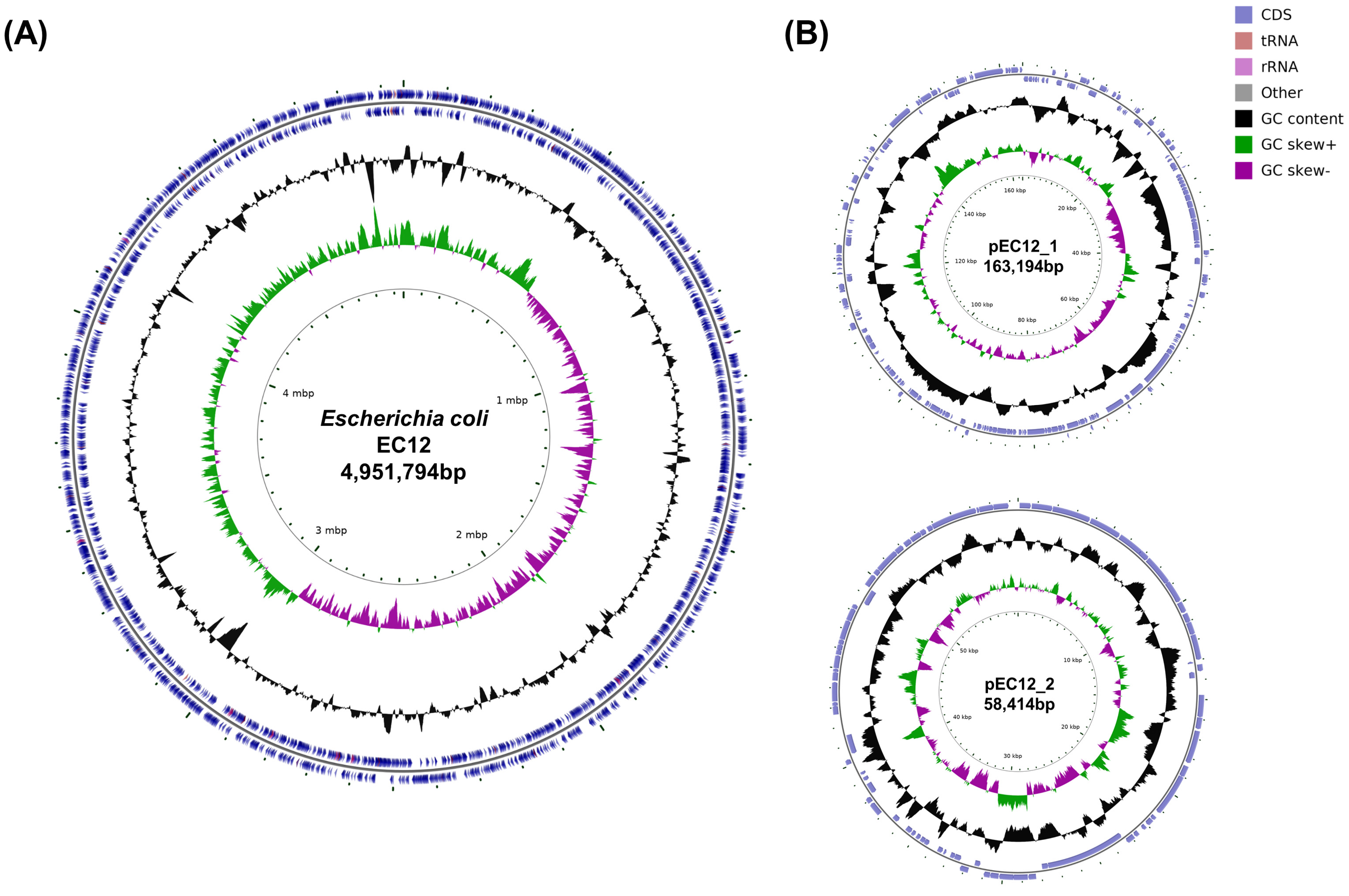 Diagnostics 11 01823 g001