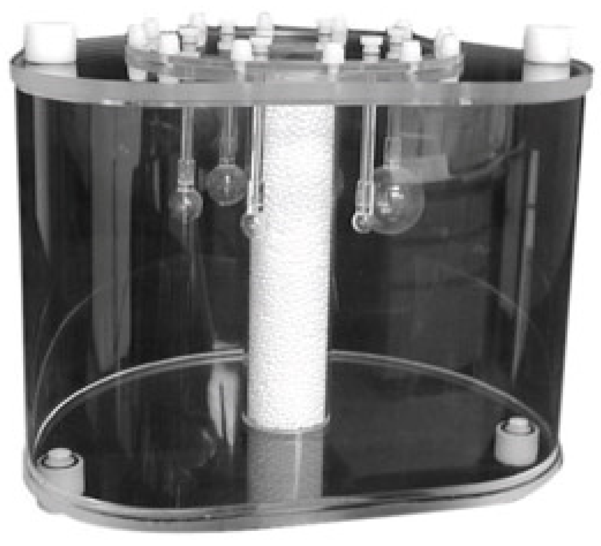 Diagnostics 11 01826 g001