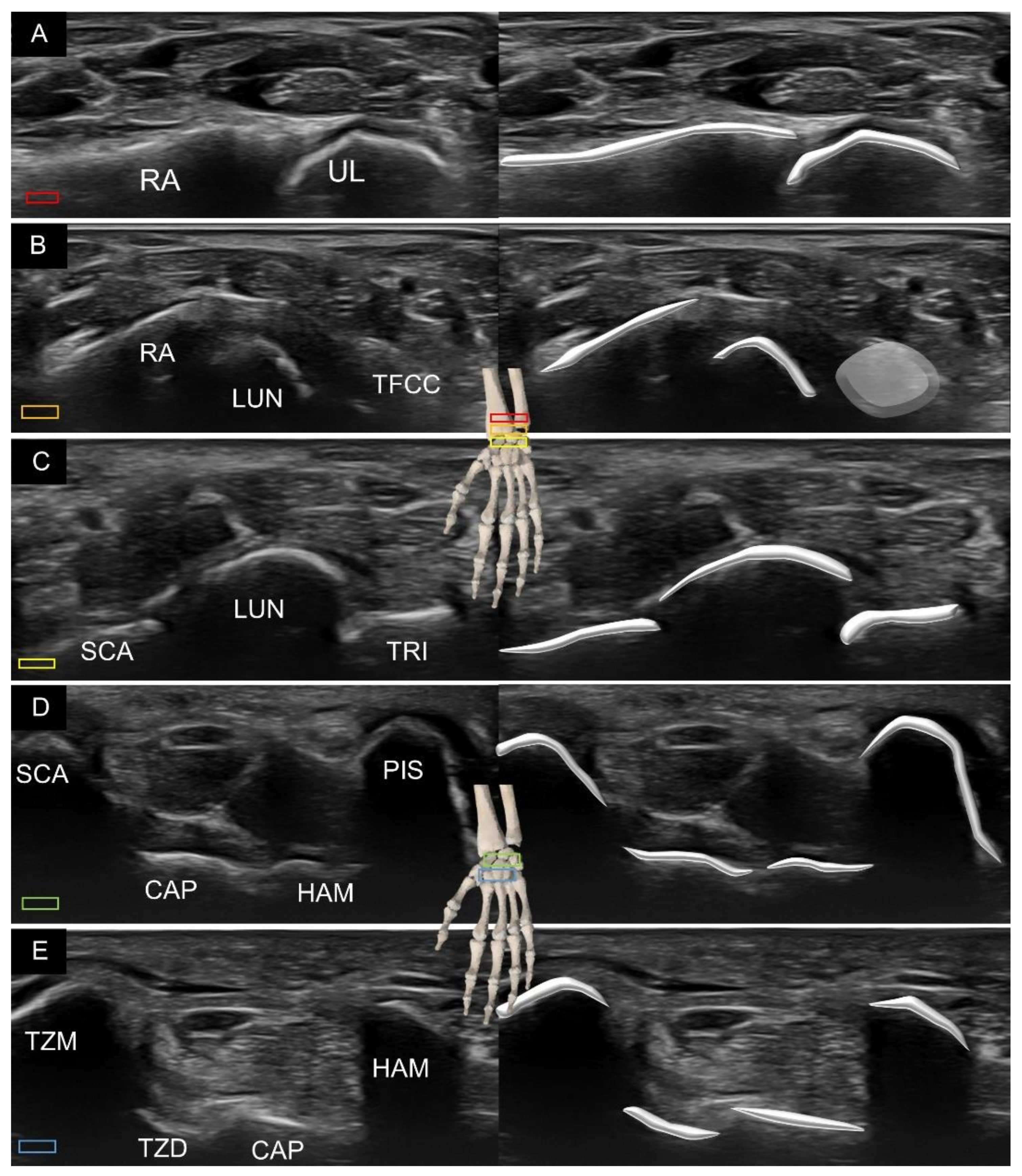 Diagnostics 11 01834 g001