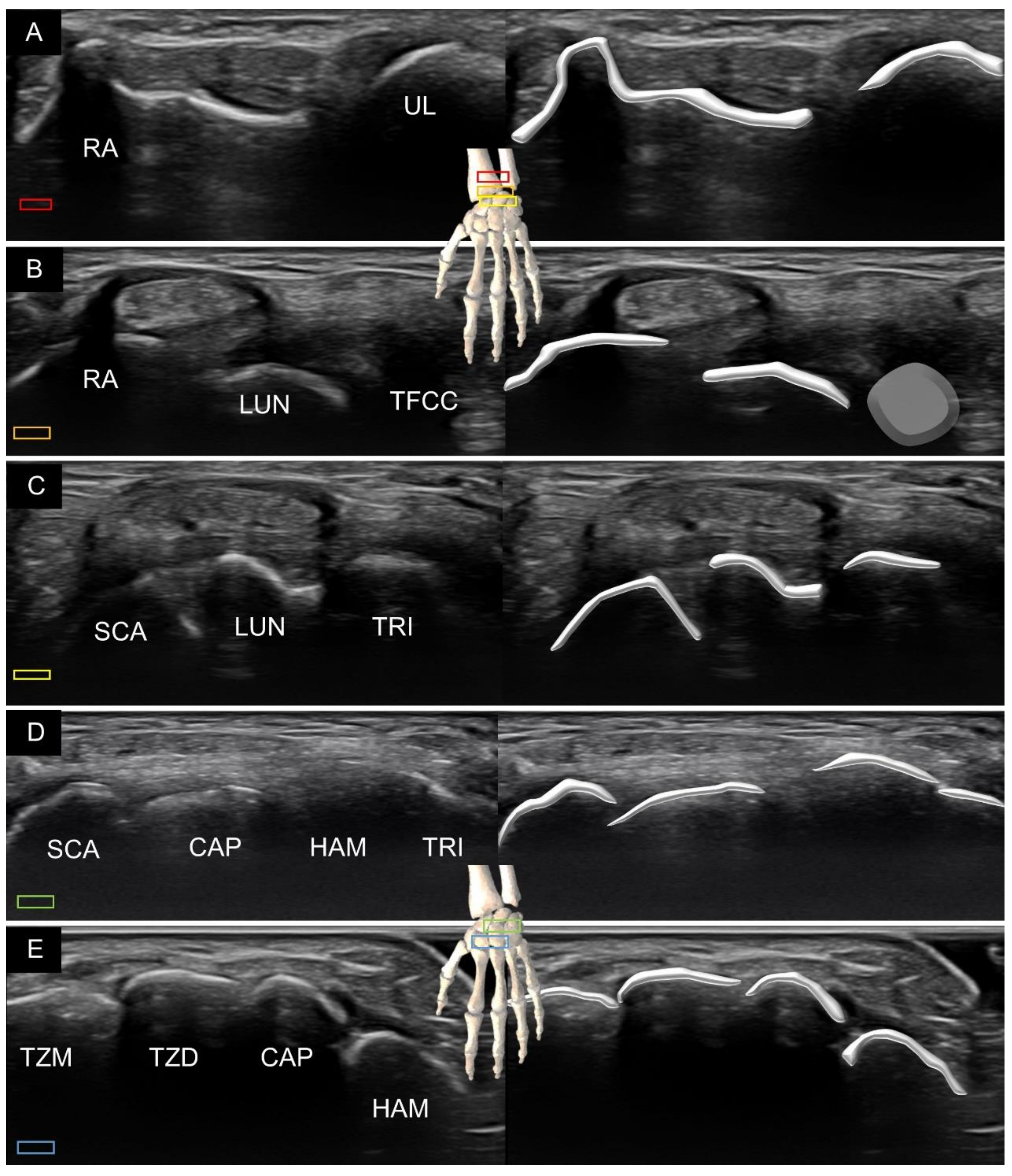 Diagnostics 11 01834 g002