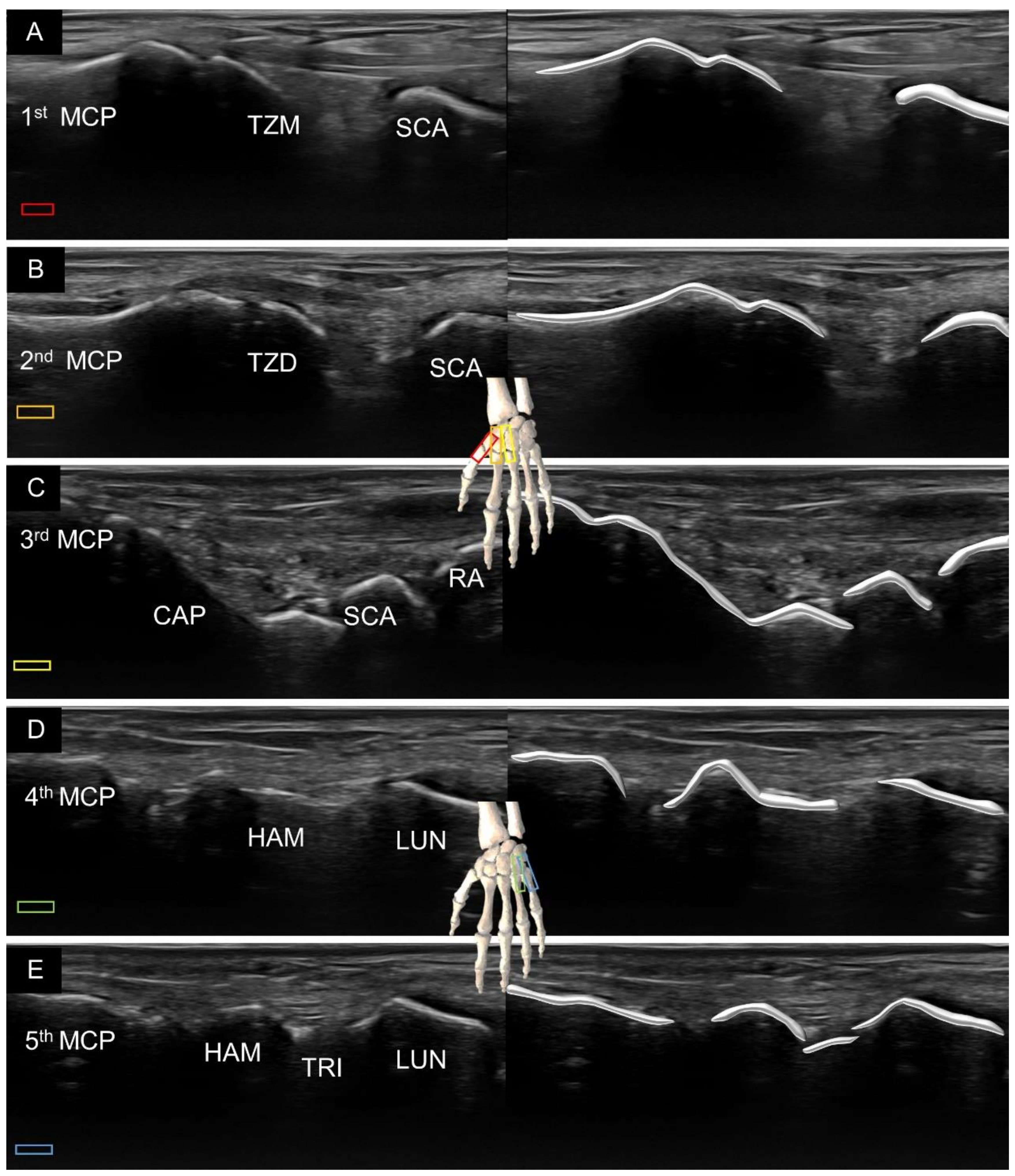 Diagnostics 11 01834 g004