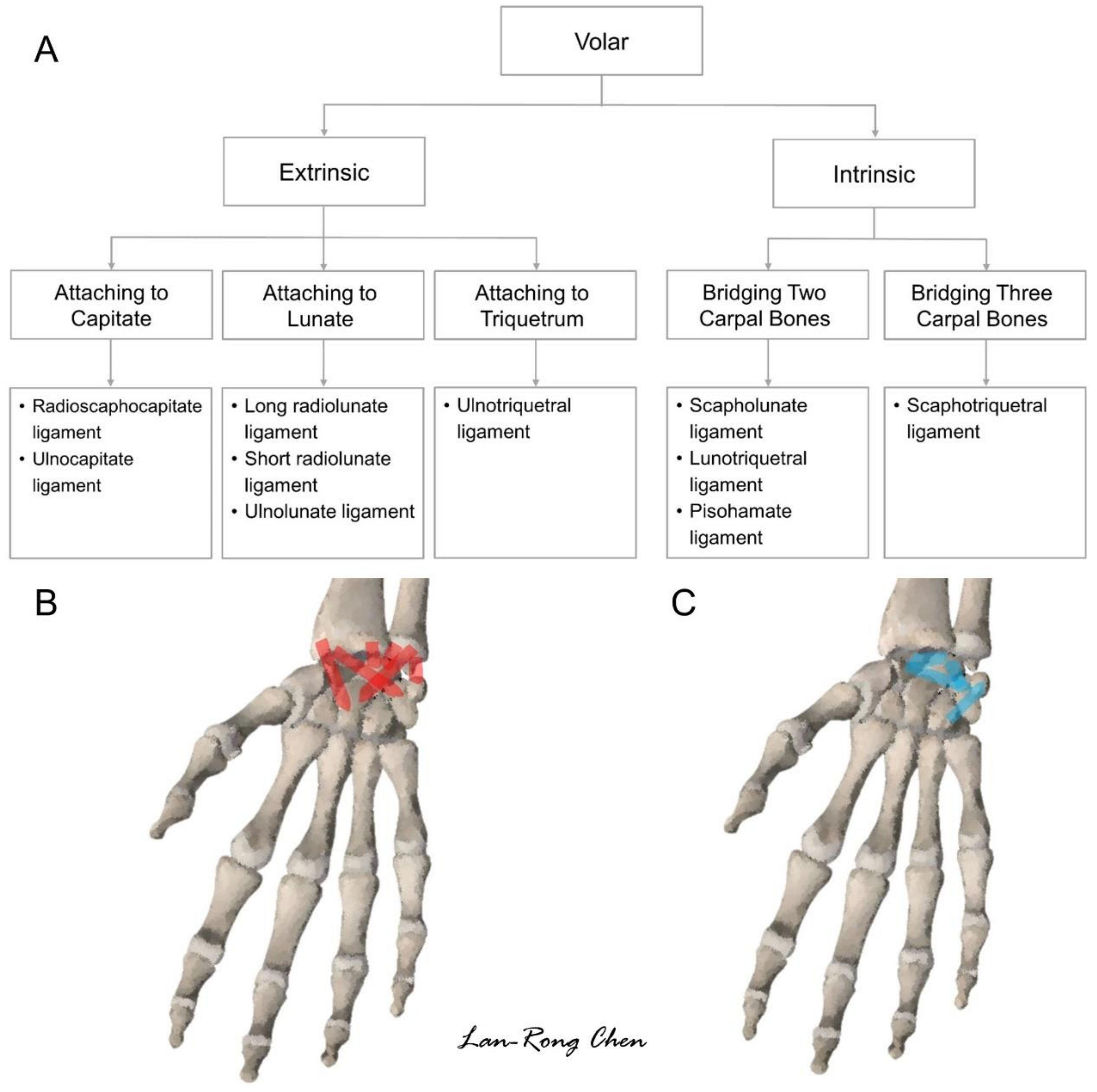 Diagnostics 11 01834 g005