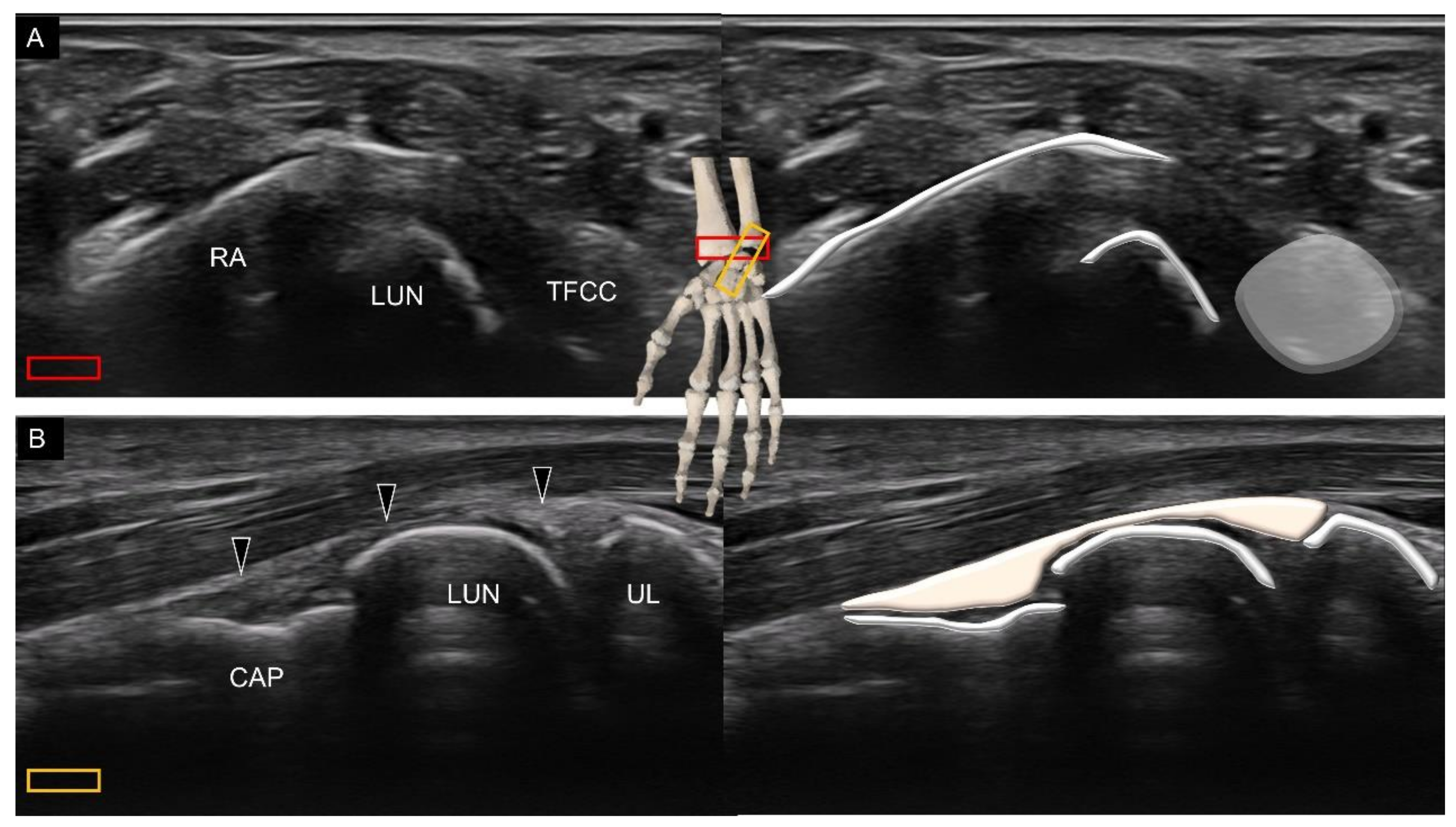 Diagnostics 11 01834 g007