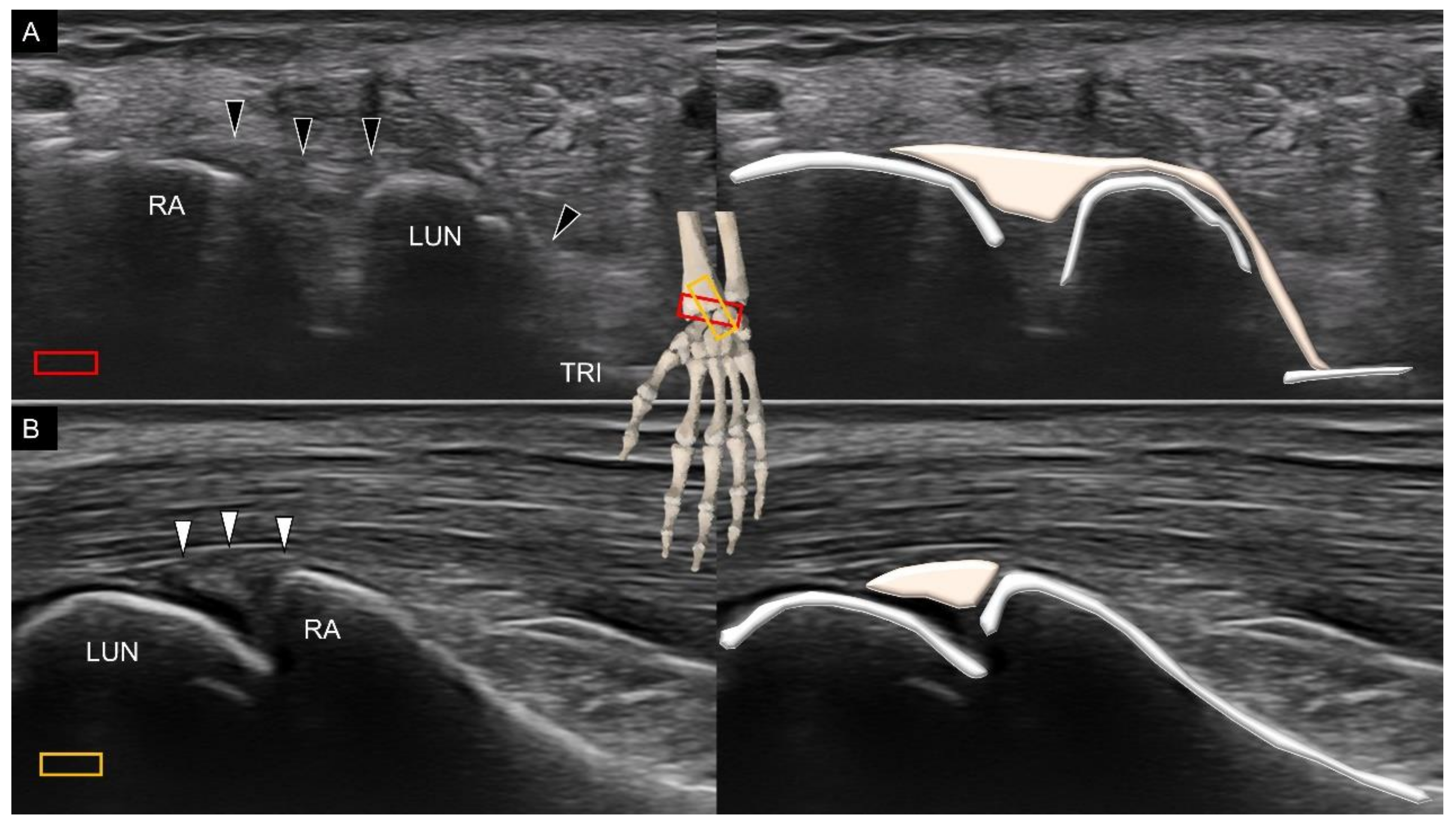 Diagnostics 11 01834 g008