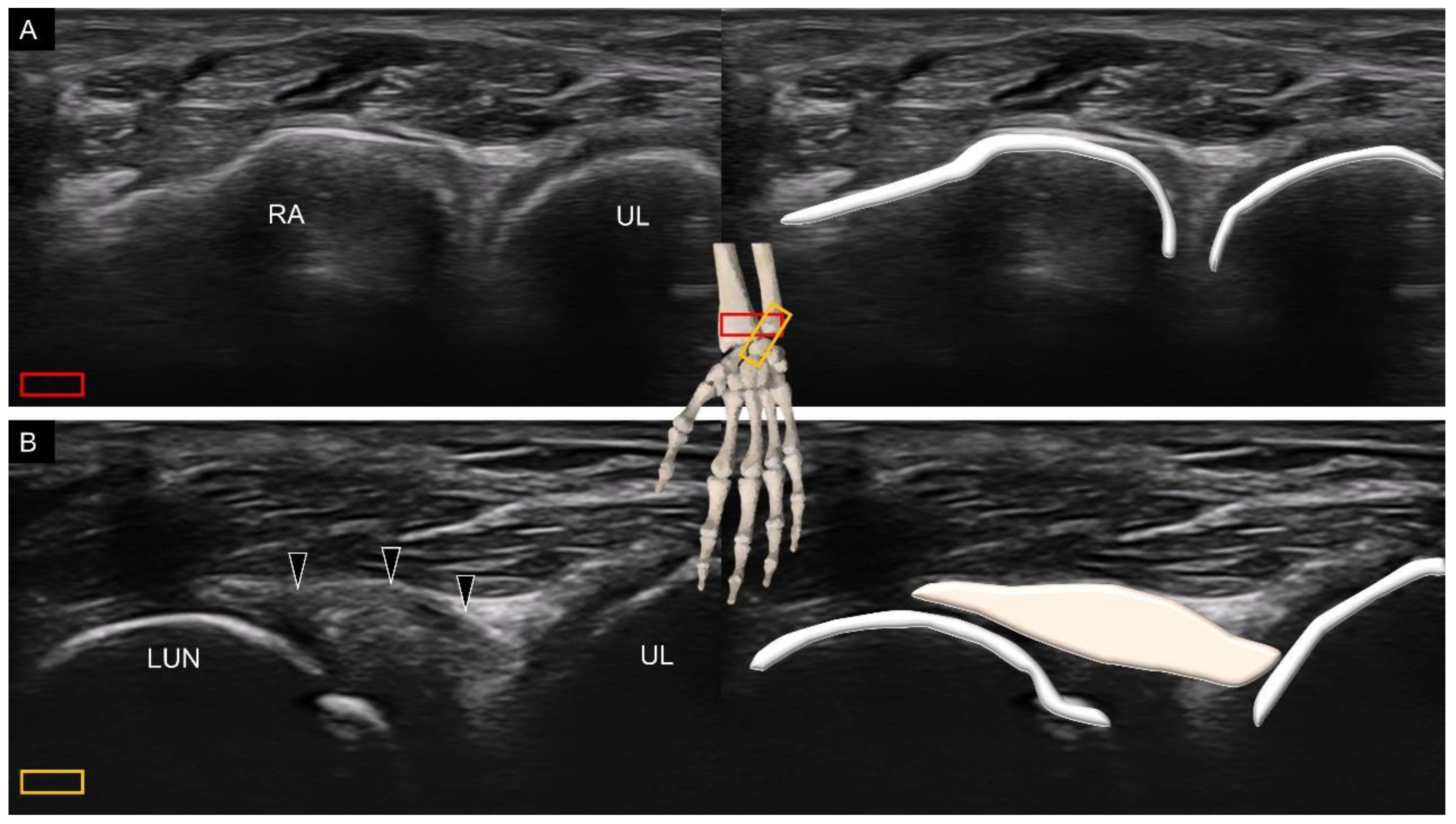 Diagnostics 11 01834 g009