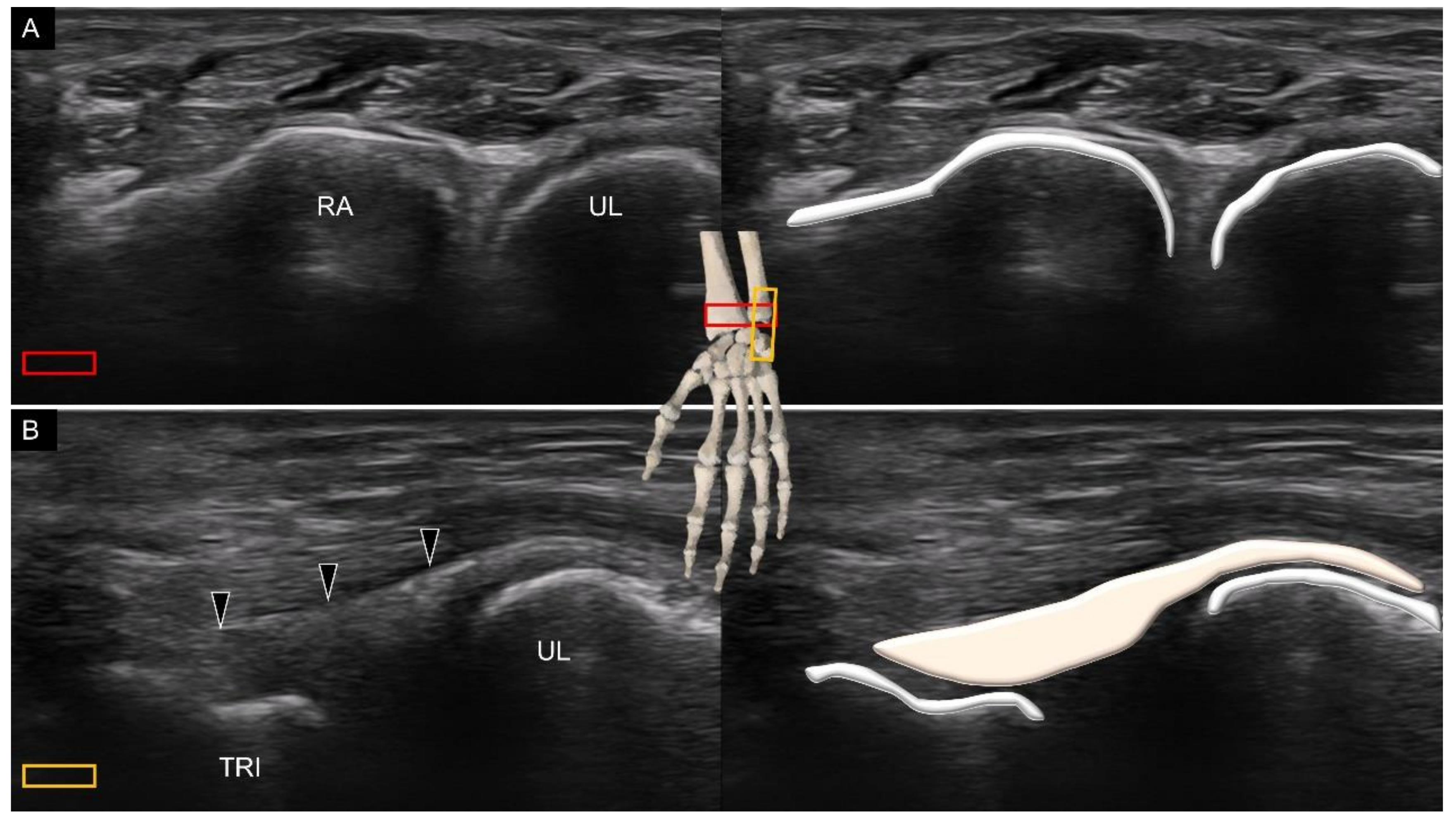 Diagnostics 11 01834 g010
