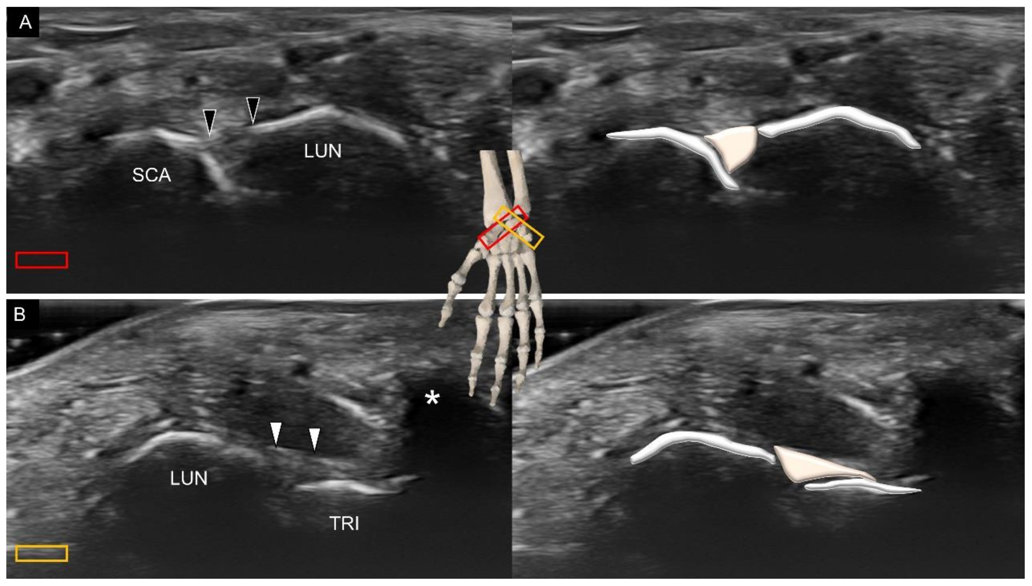 Diagnostics 11 01834 g011